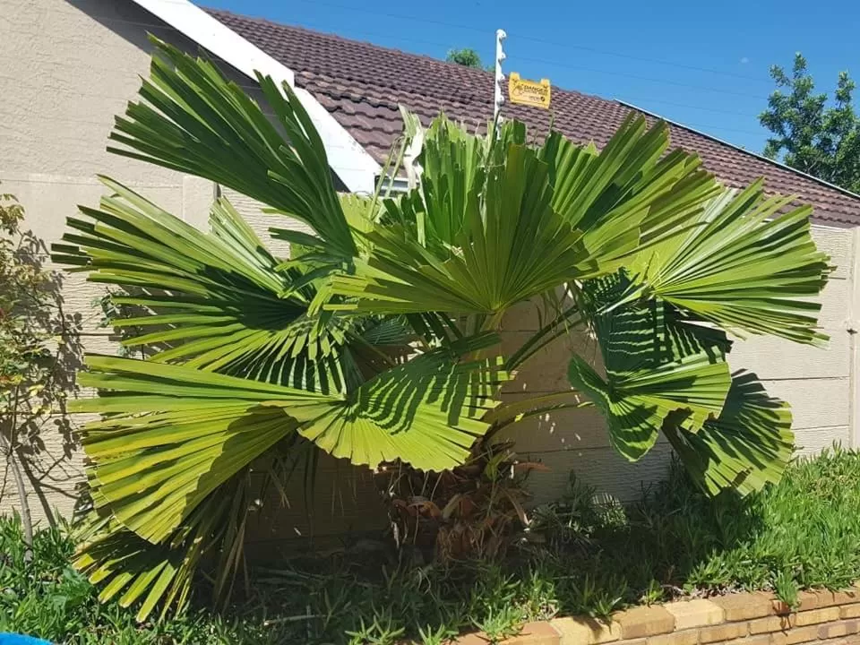 Swimming pool in Moye Guest House