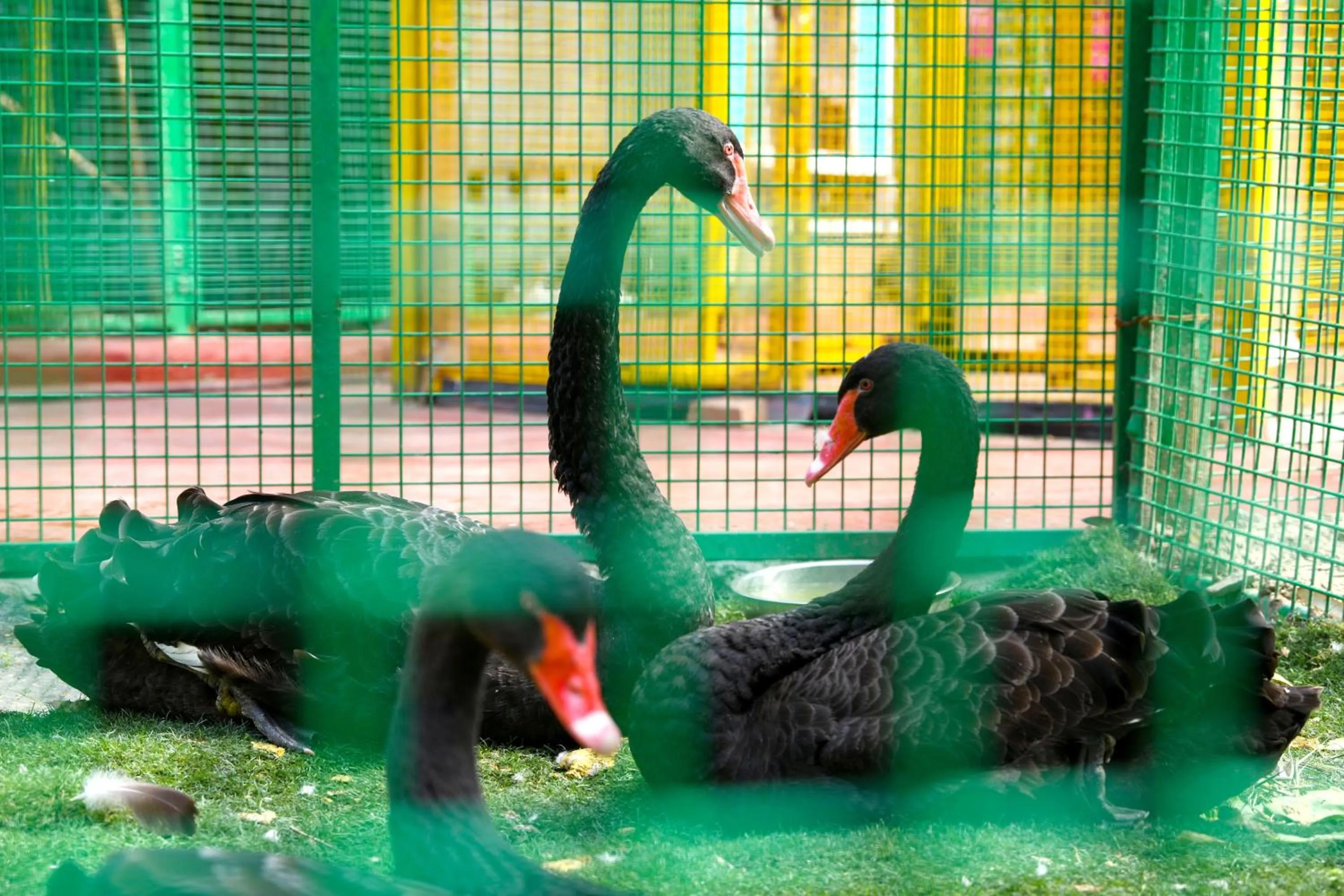 Children play ground in Crowne Plaza Shanghai Xiayang Lake by IHG