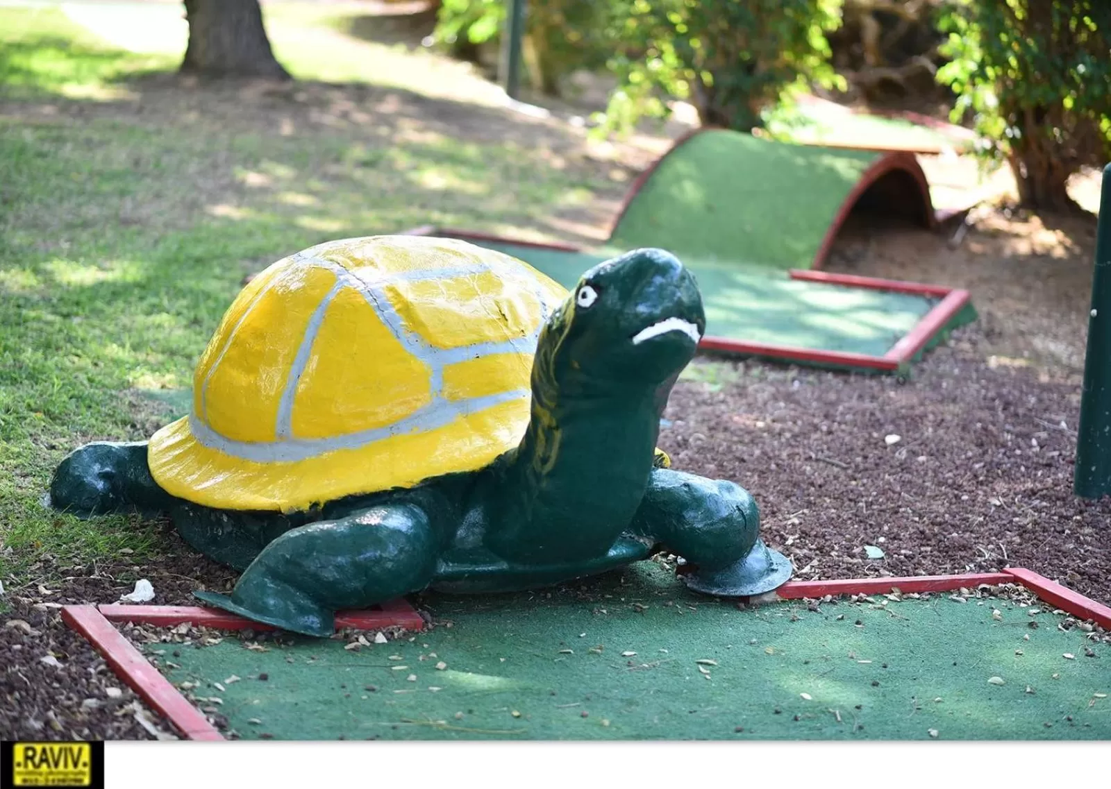 Other Animals in Suite Marina Caesarea