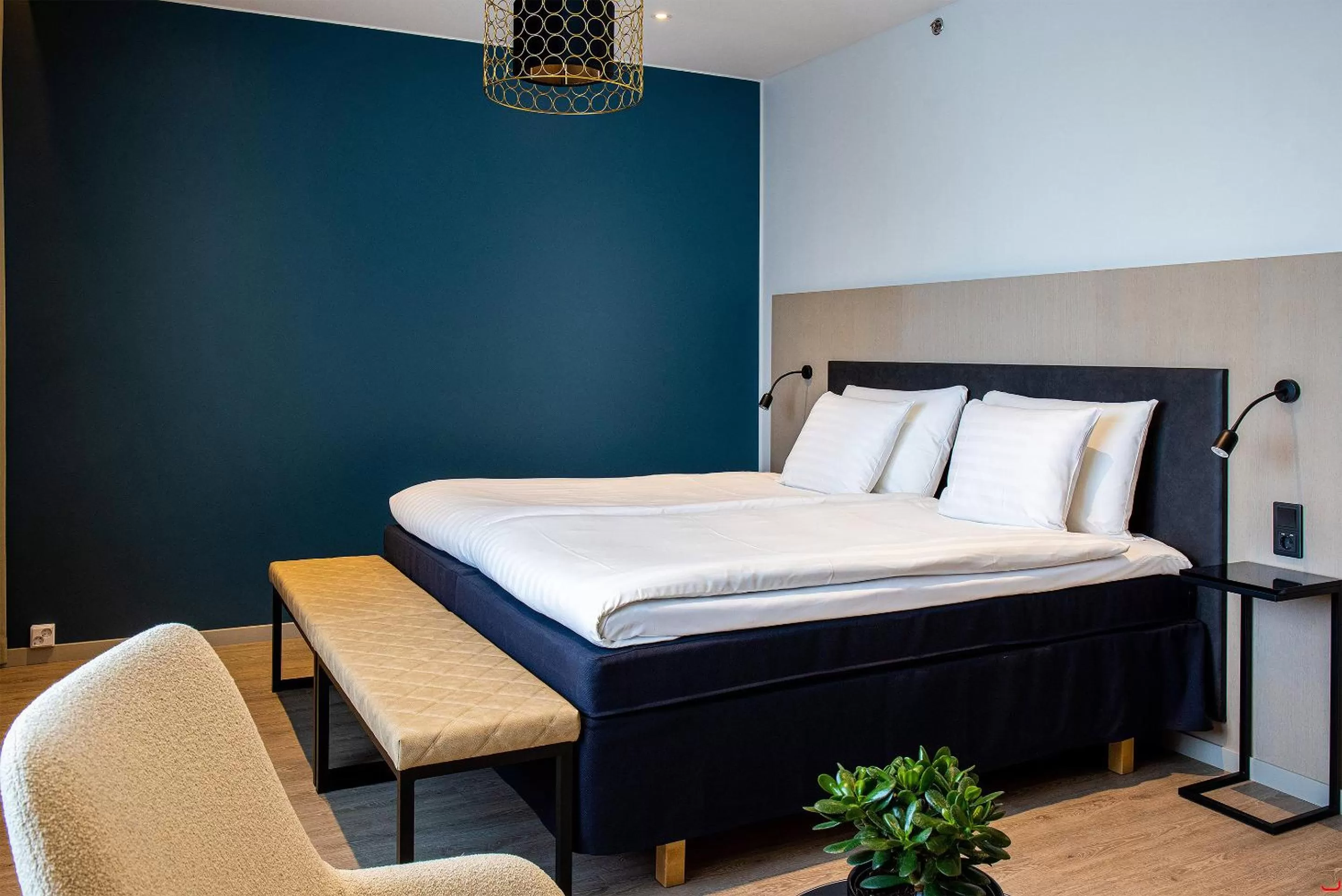 Junior Suite in Hotel Matts