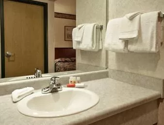 Deluxe King Suite in Ramada by Wyndham Strasburg Dover