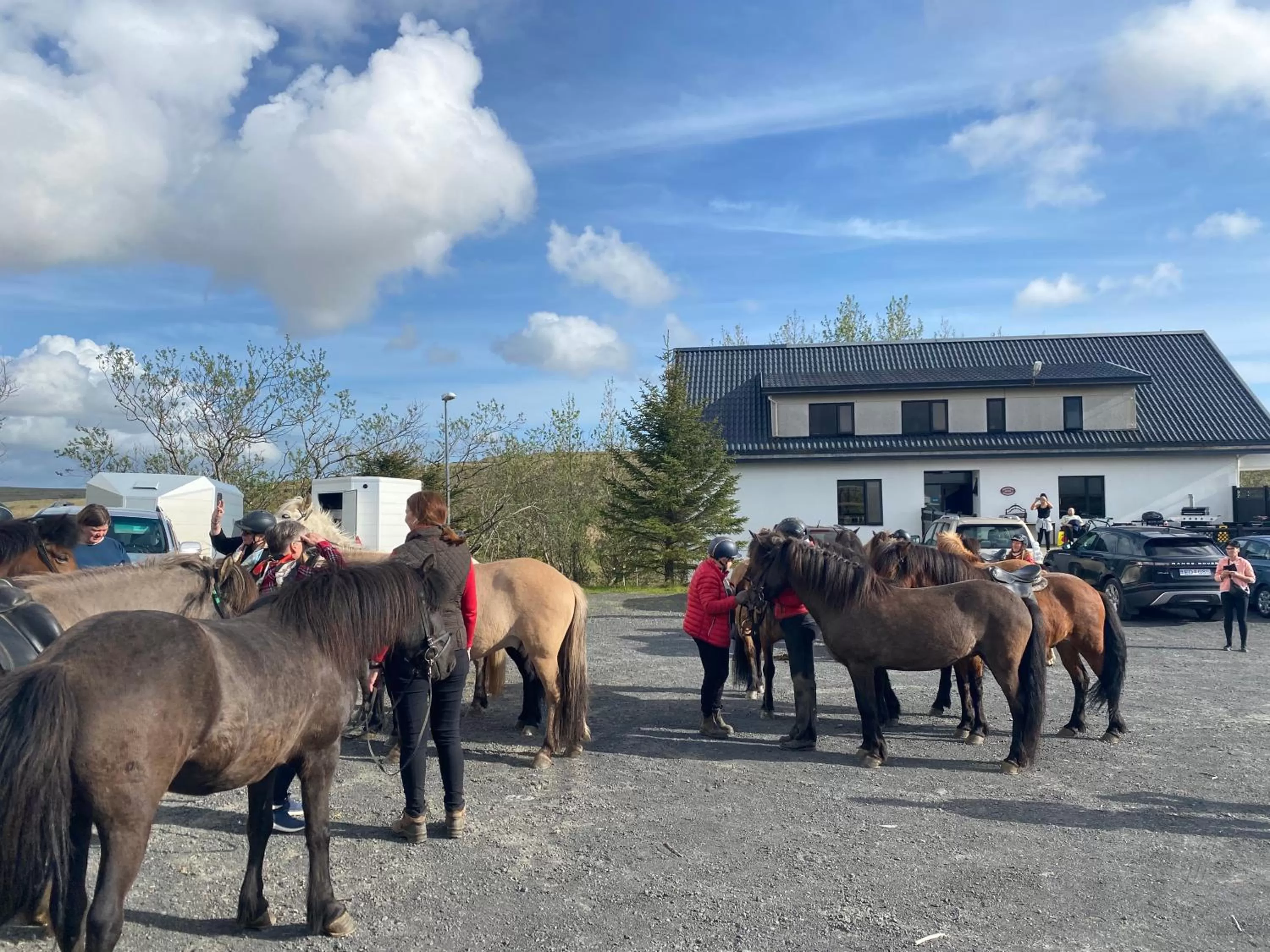 Day in Guesthouse Bitra B&B