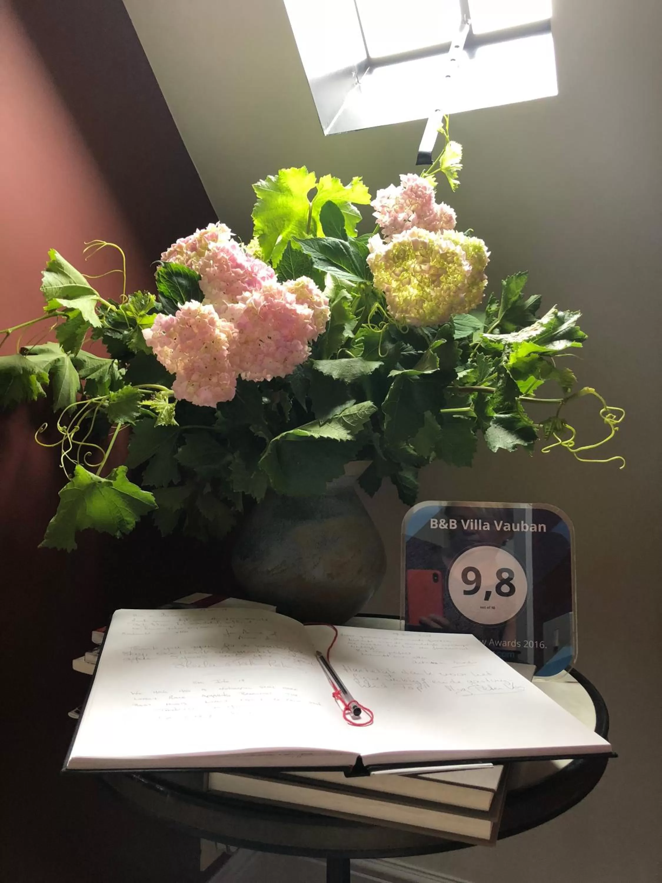 Summer in Guesthouse Villa Vauban