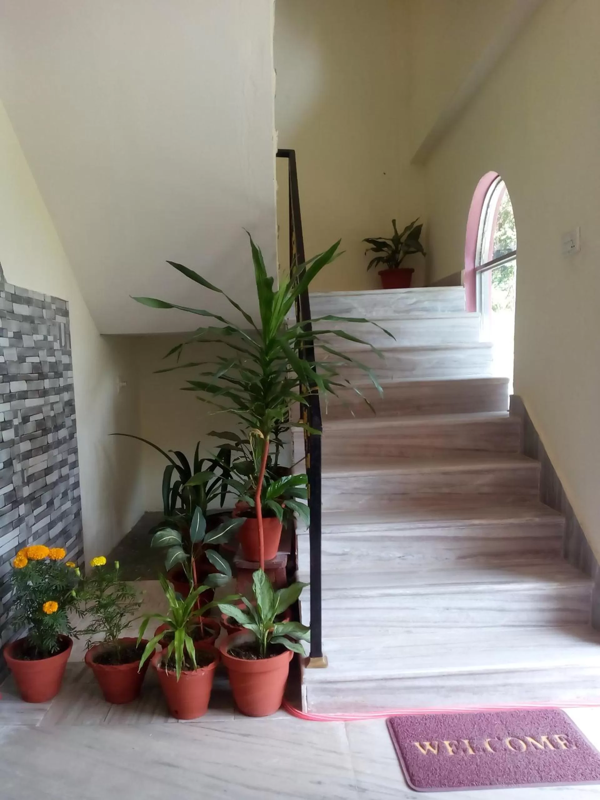 Hotel Green Hill View