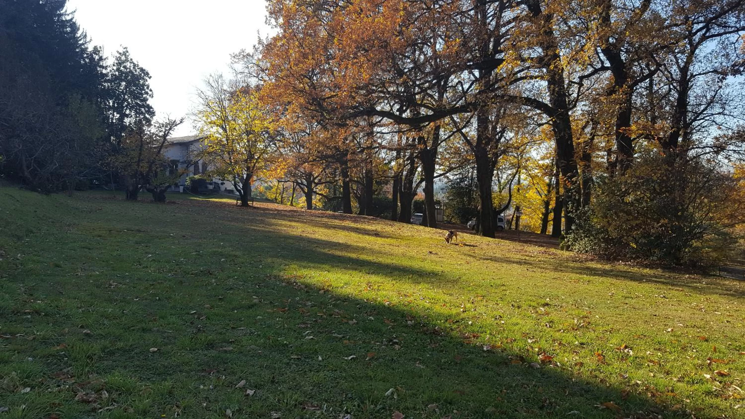 Day in "La Selvetta" bed and breakfast