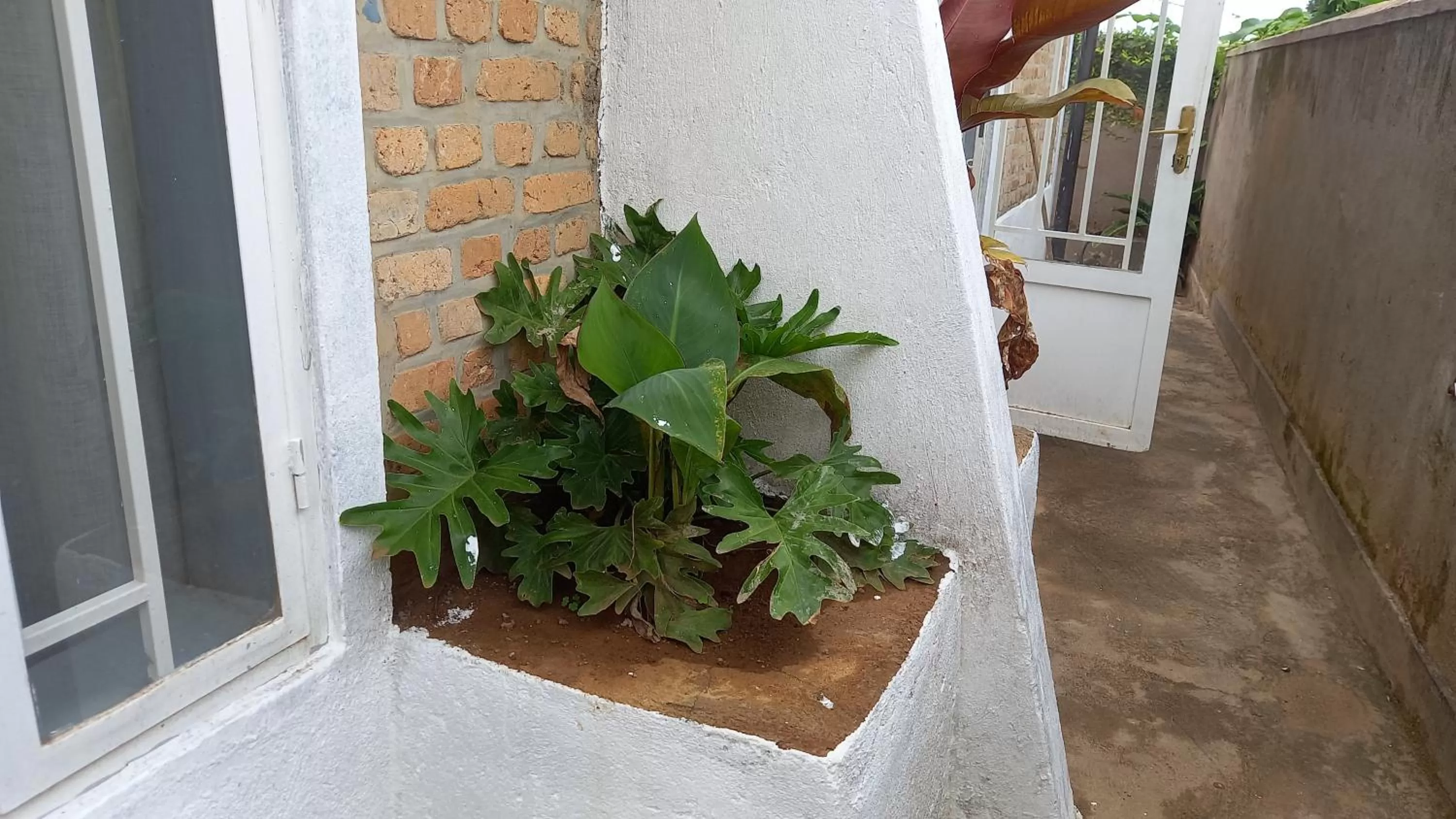 Tommy's Budget Rooms