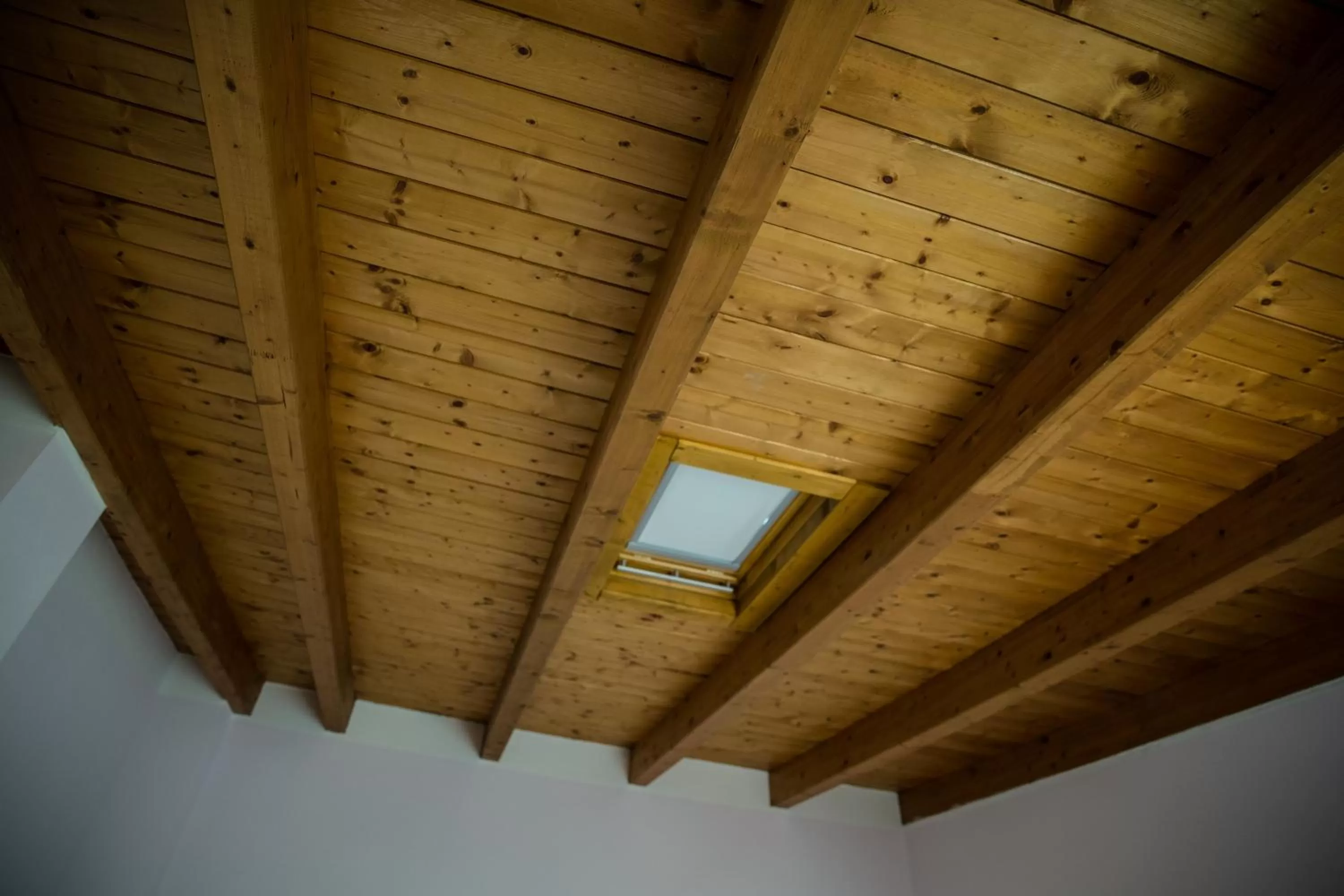 Photo of the whole room in B&B Magic