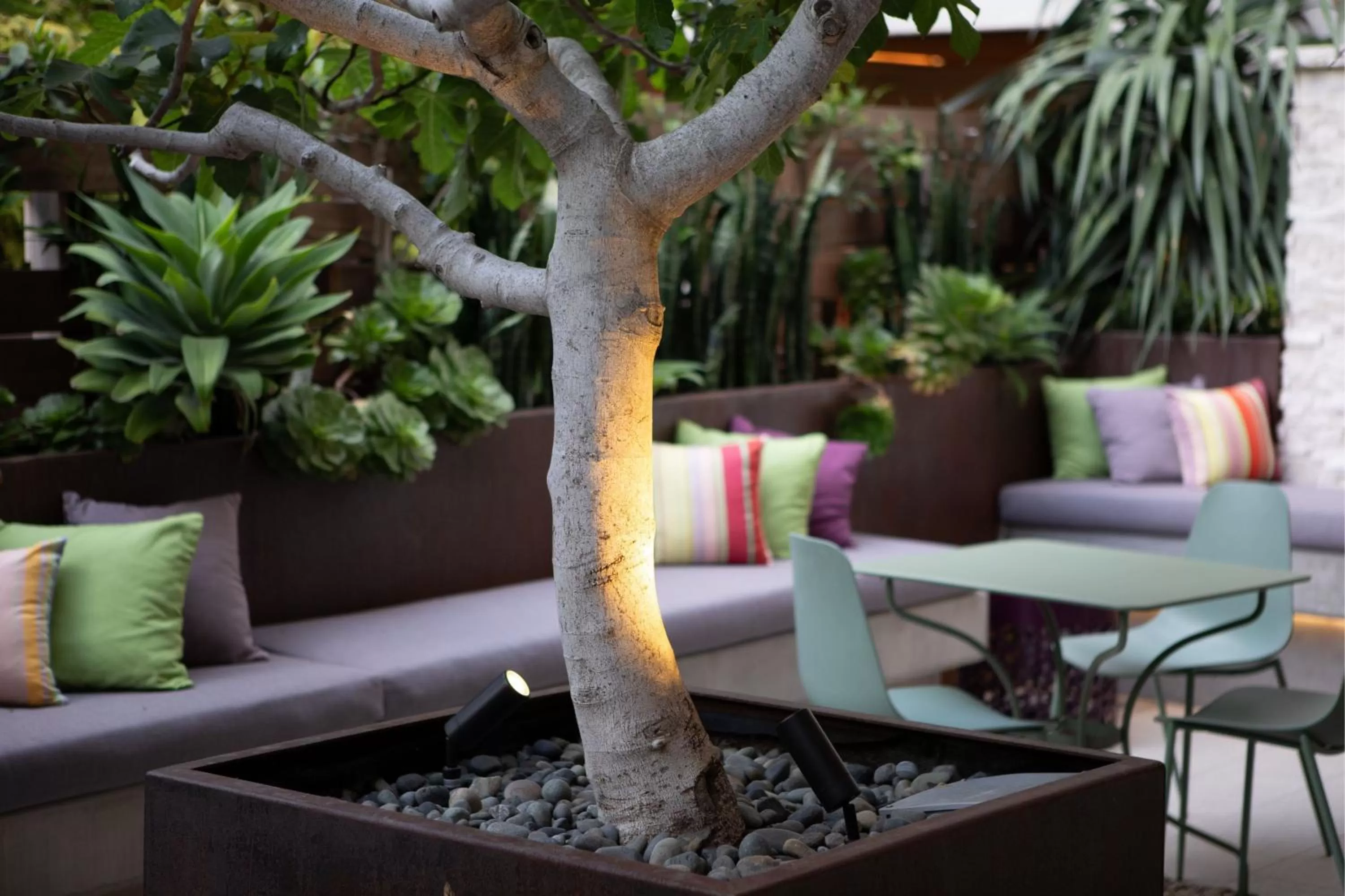 Restaurant/places to eat in HOTEL CERRO, Autograph Collection