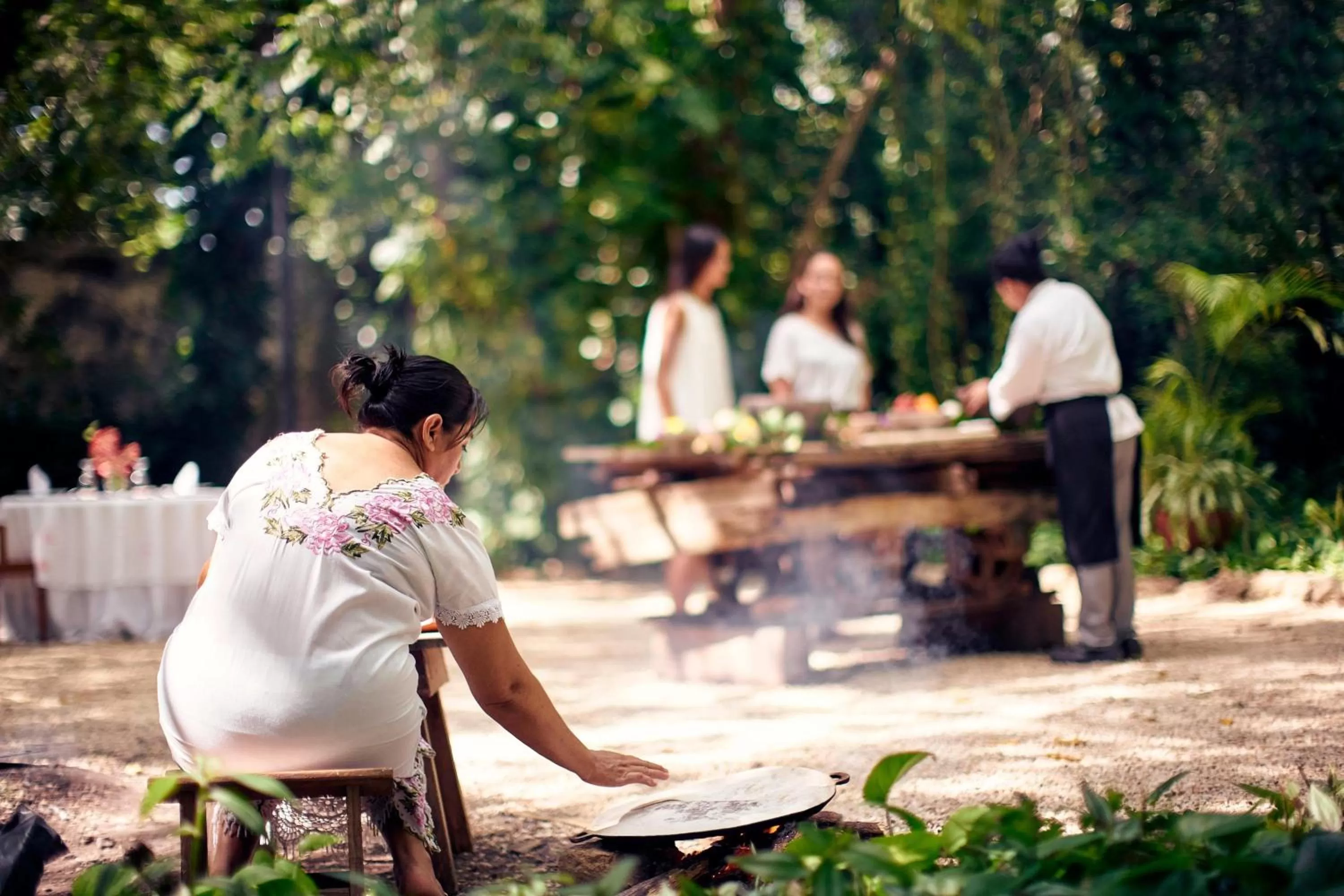 Garden in Hacienda Temozon Sur