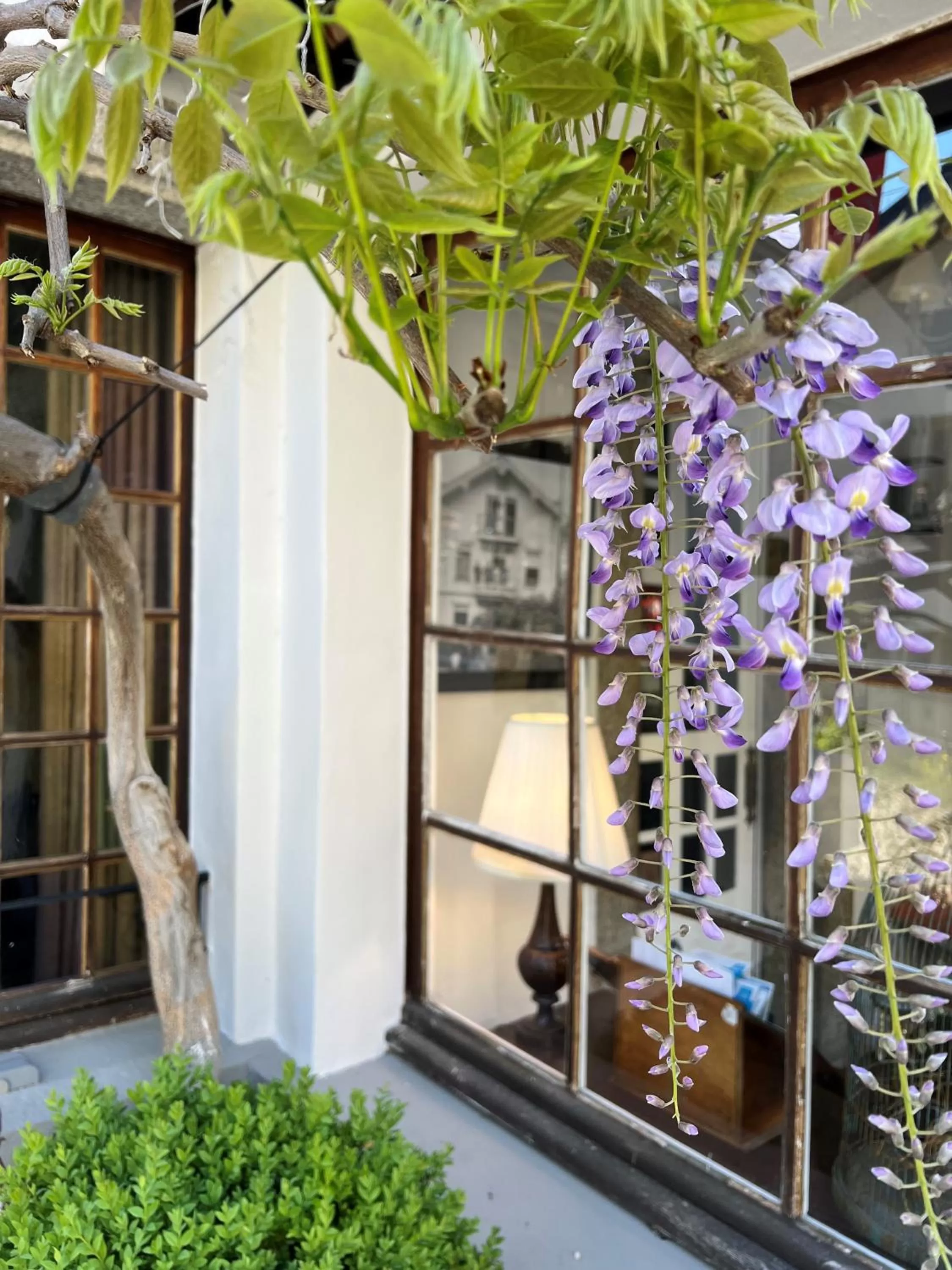 Property building in Coeur des Neiges