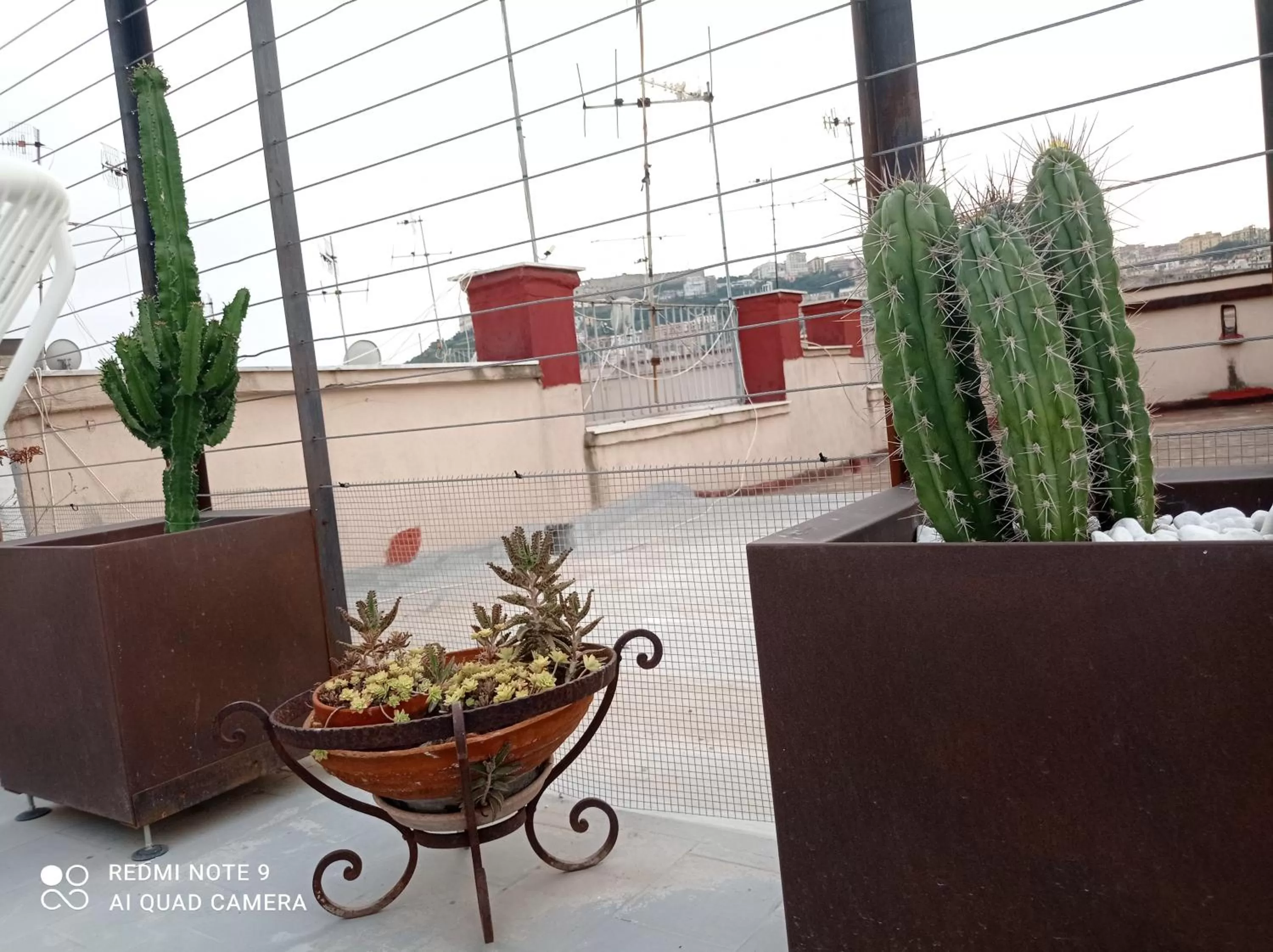 Decorative detail in Up25