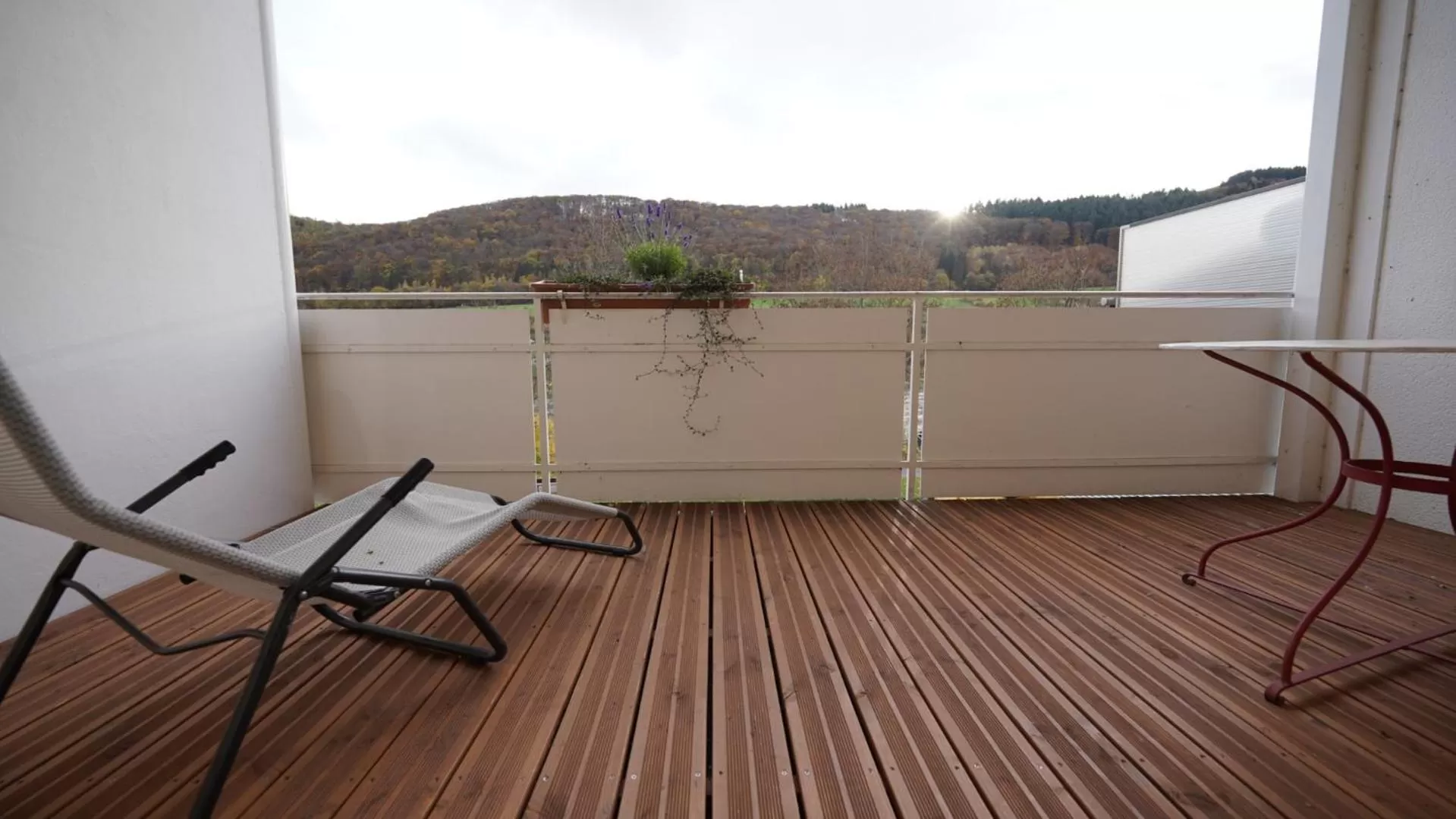 Balcony/Terrace in Vegan Hotel und Restaurants Nicolay 1881