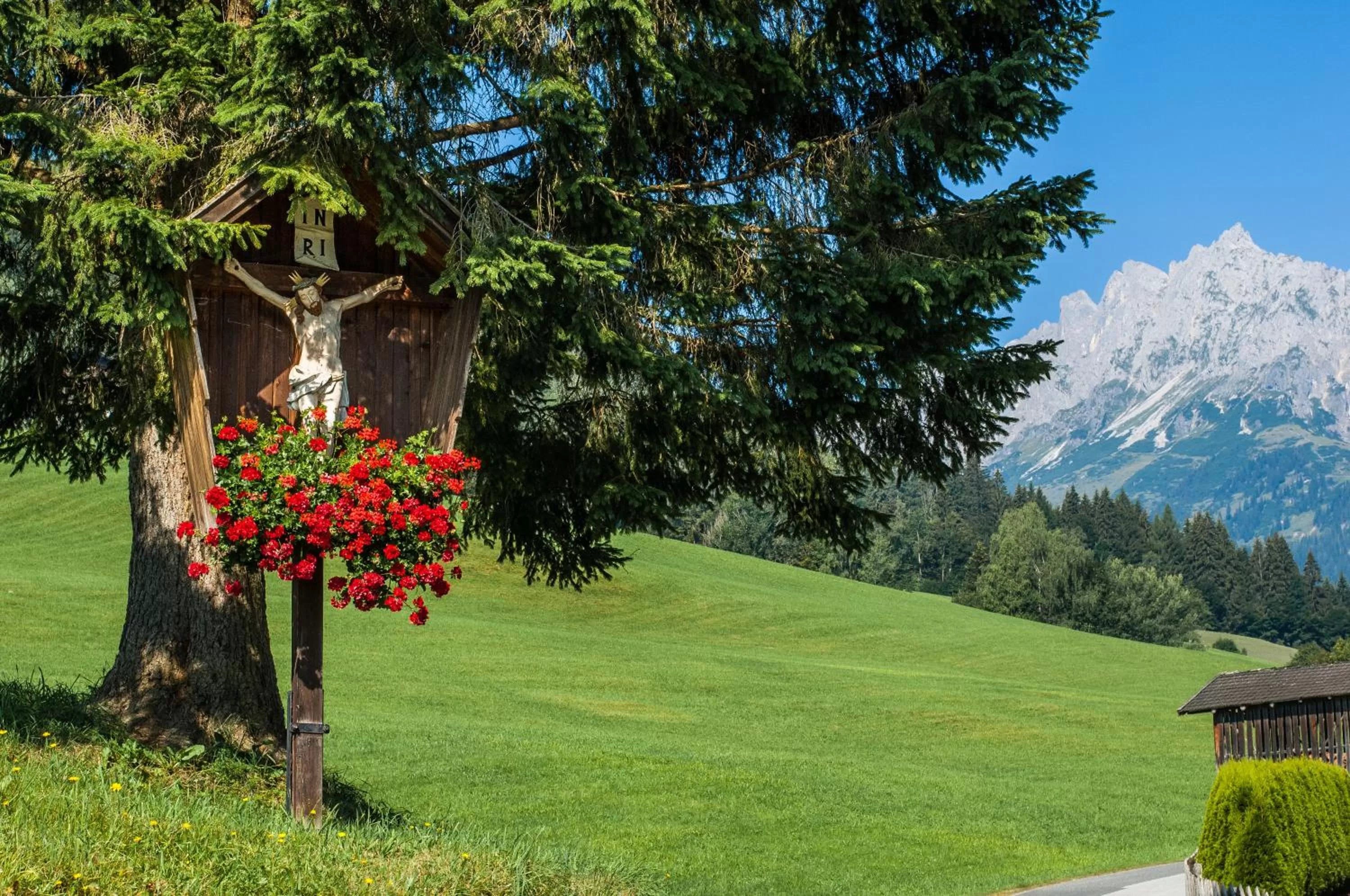 Natural landscape in Hotel und Alpen Apartments mit Sauna - Bürglhöh