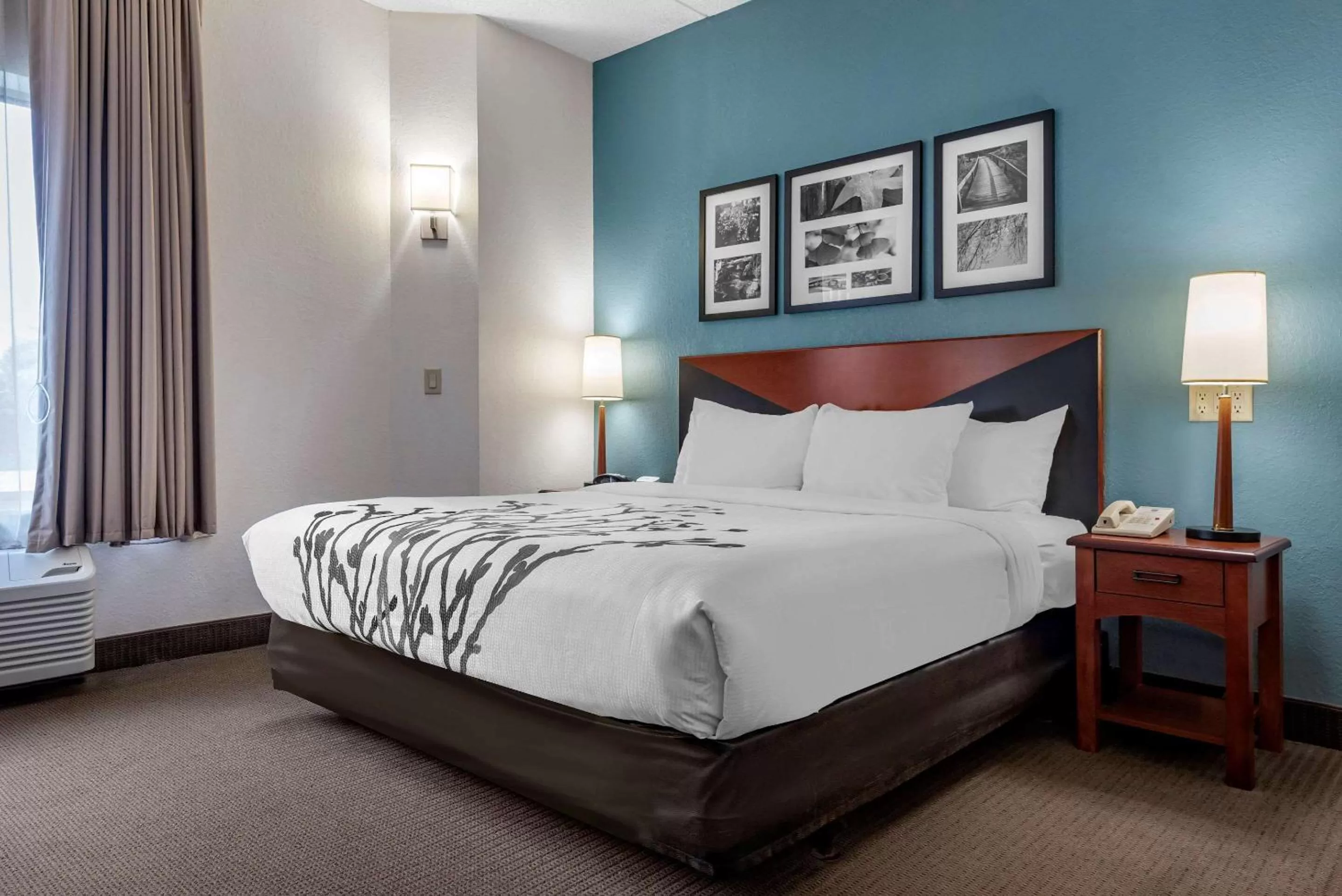 Photo of the whole room, Bed in Sleep Inn Amherst - Buffalo North near University