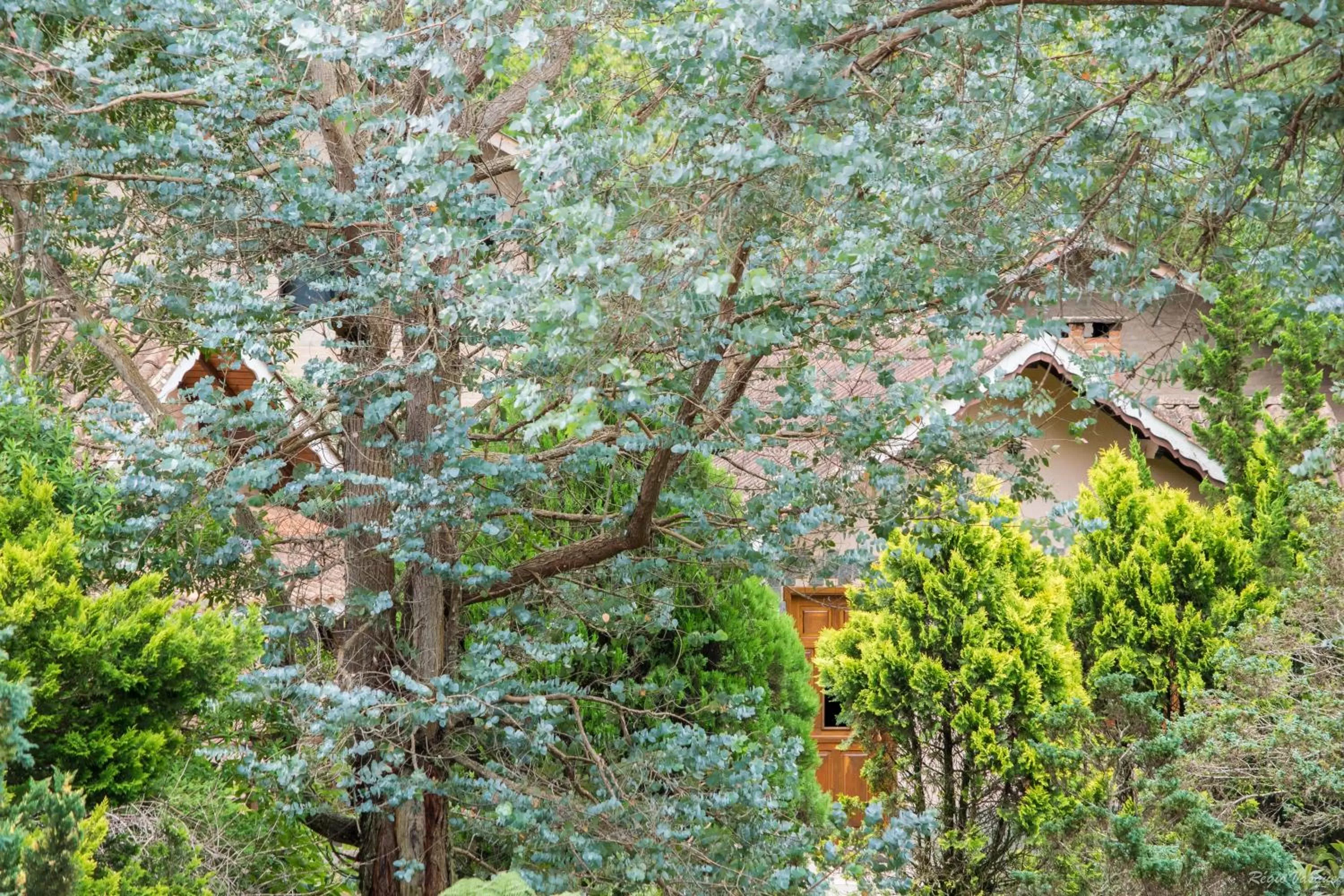 Spring in Pousada Ricanto Amore Mio