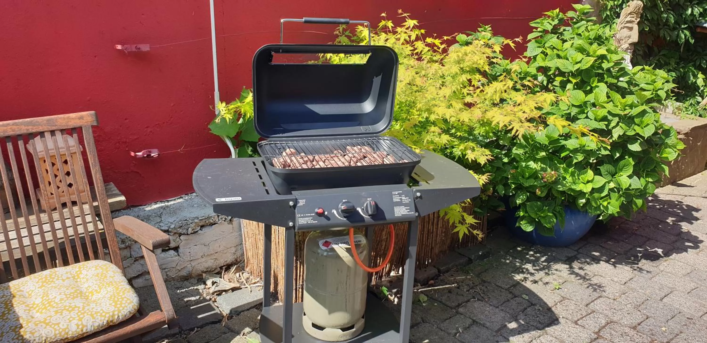 Schönste Lage am Rhein in unmittelbarer Stadtnähe, B & B