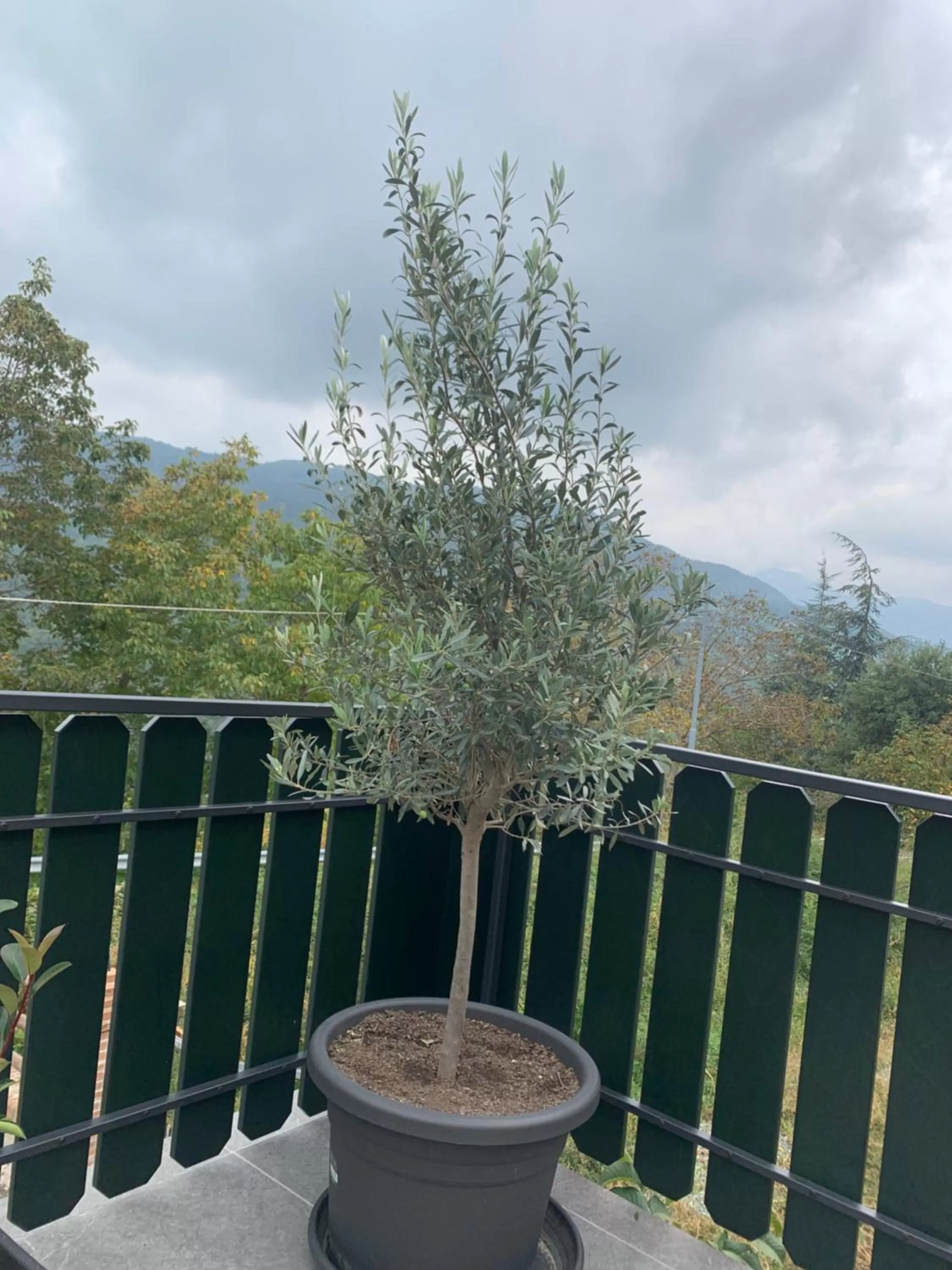 Property building in B & B CA’ D’ OLINA