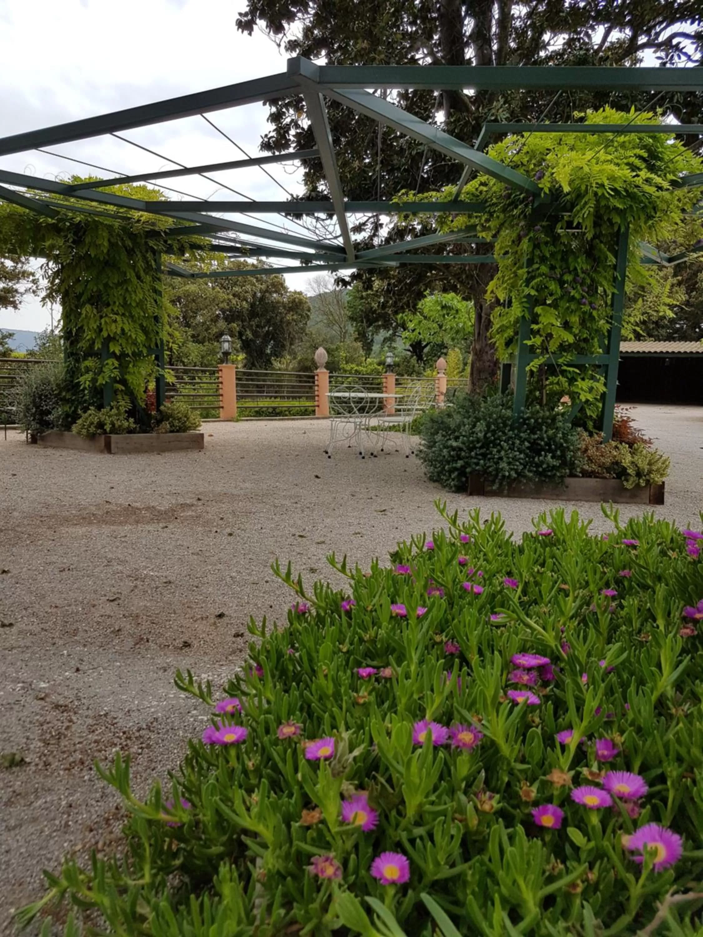Balcony/Terrace in Le Mas du Lingousto