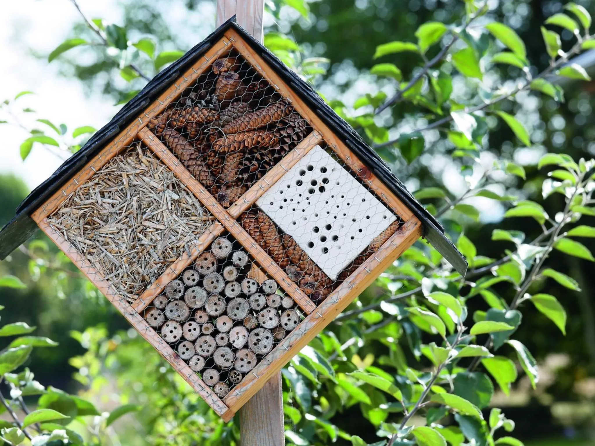 Animals in Kurhaus Pivittskrug