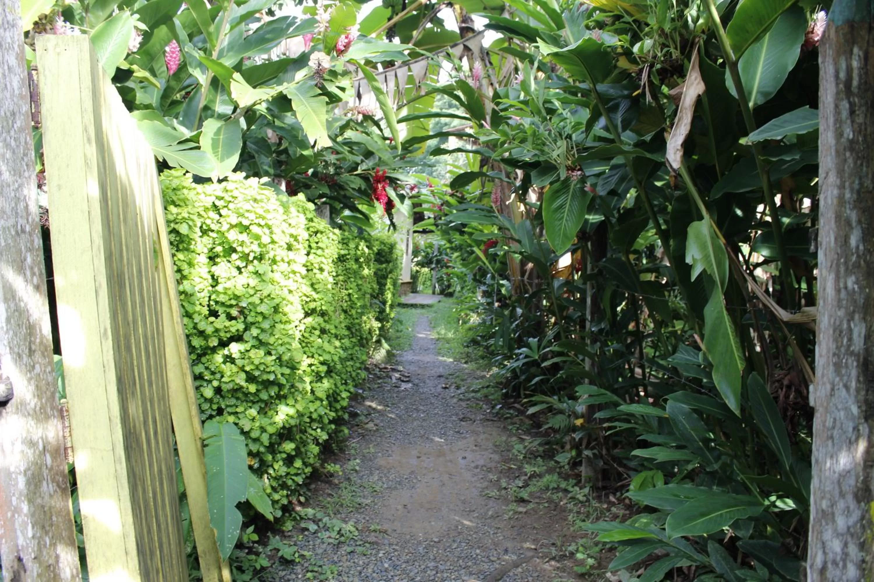 Day in Los Robles Capurgana