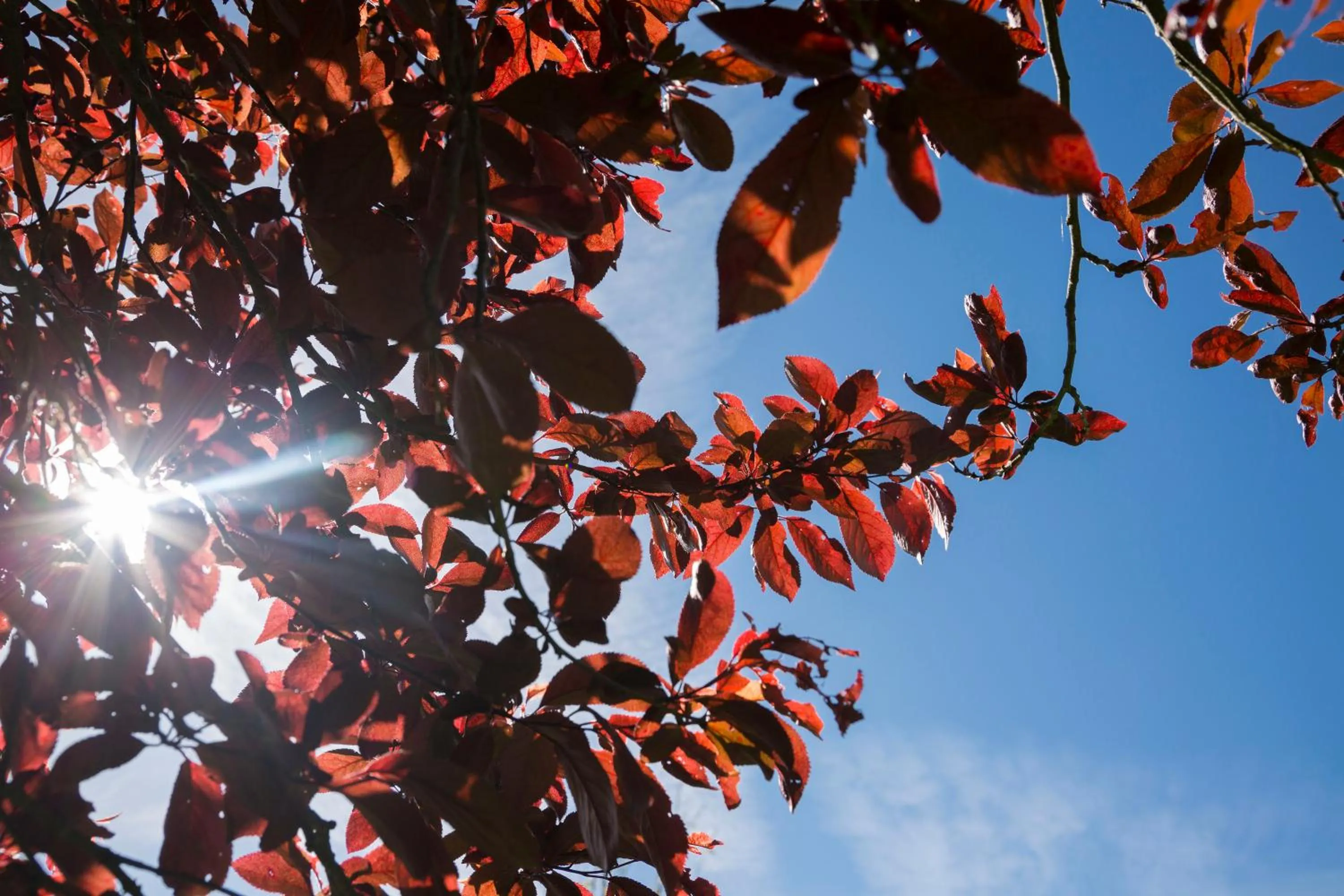 Day in Borgo San Benedetto