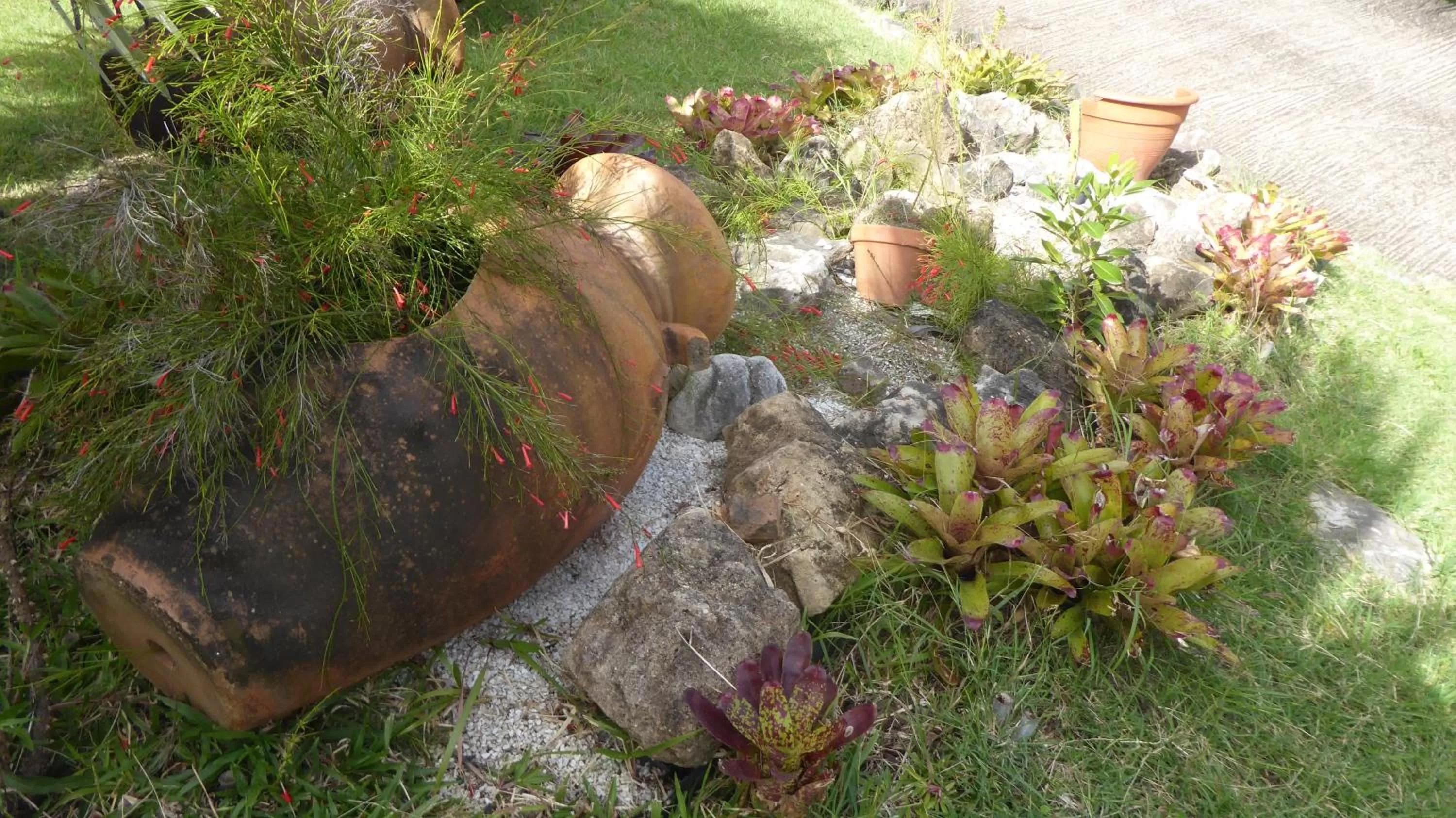 Garden view, Garden in Bed and breakfast Riviere