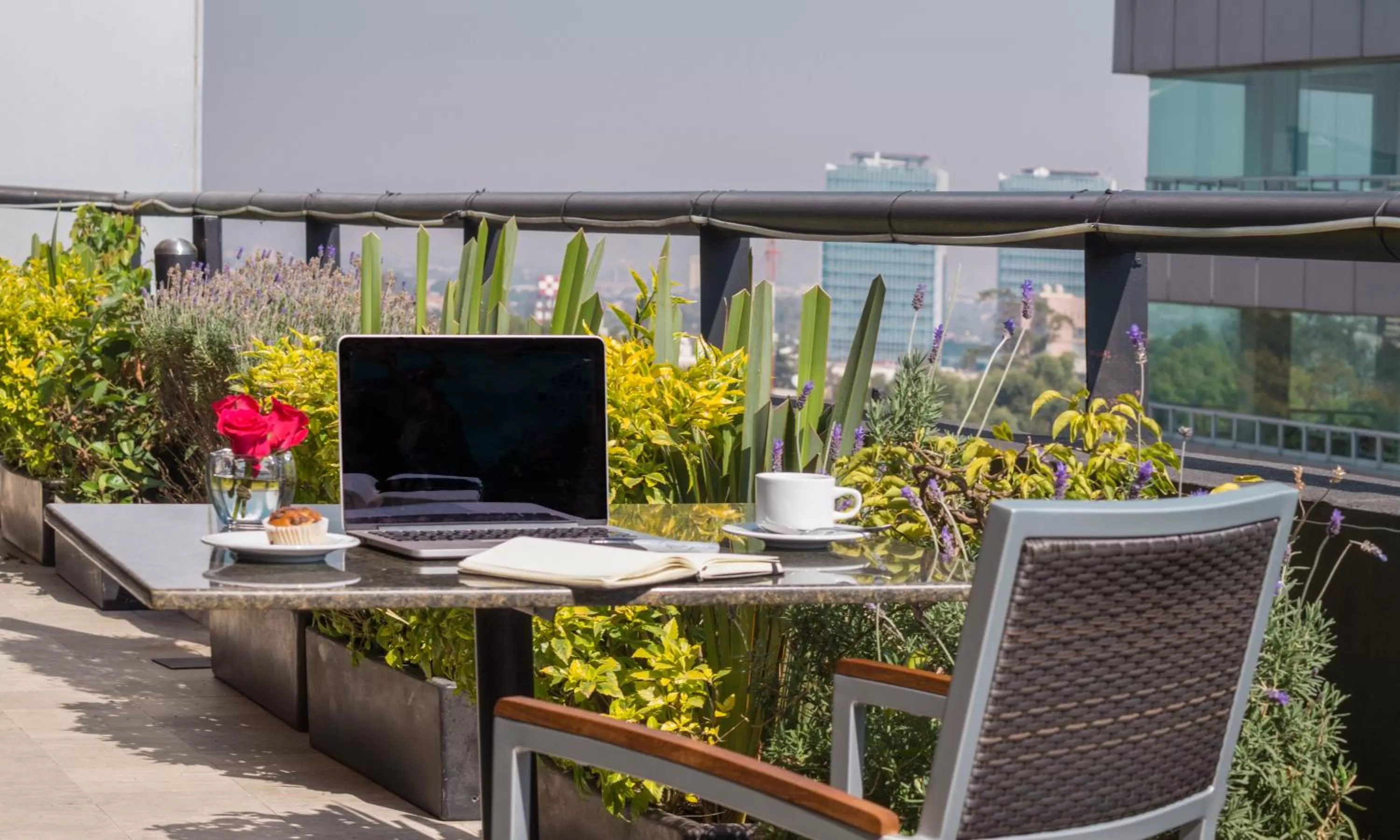 Restaurant/places to eat in Alteza Polanco