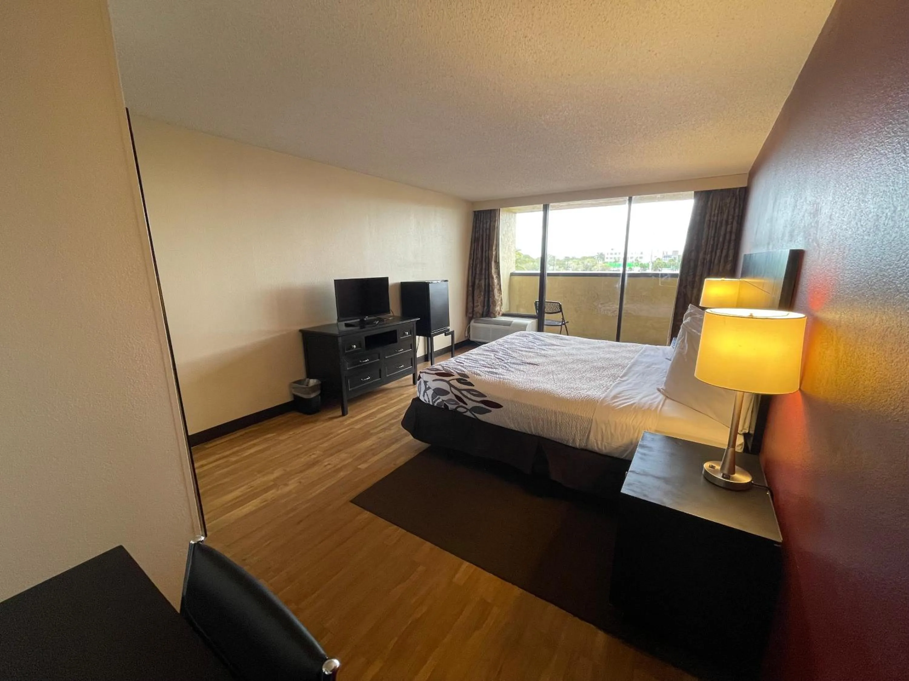 Photo of the whole room in Tropical Palms Hotel