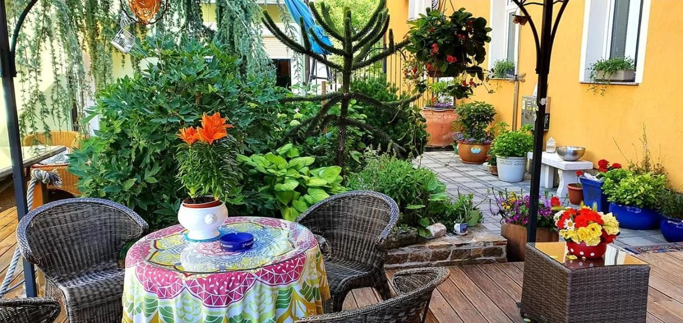 Garden in Hostel Sonce