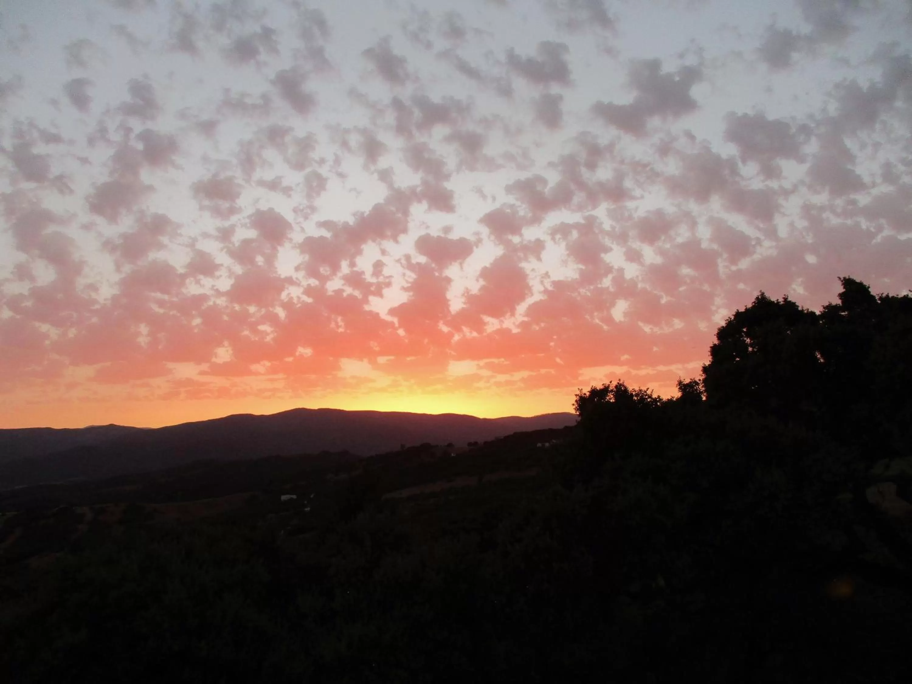 Natural landscape in Casa Laibon