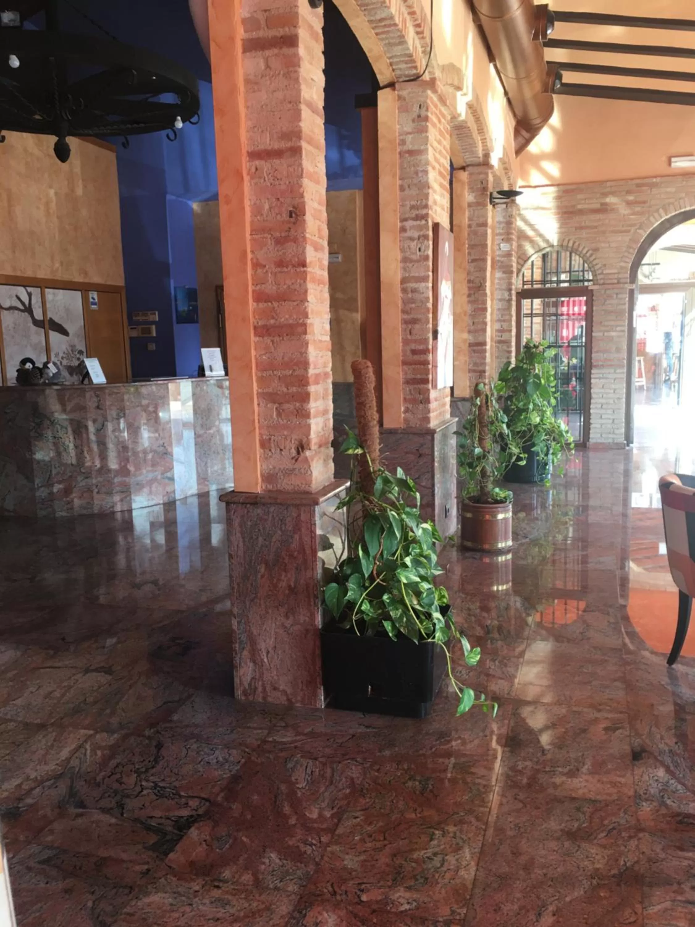 Area and facilities in Hotel La Bodega