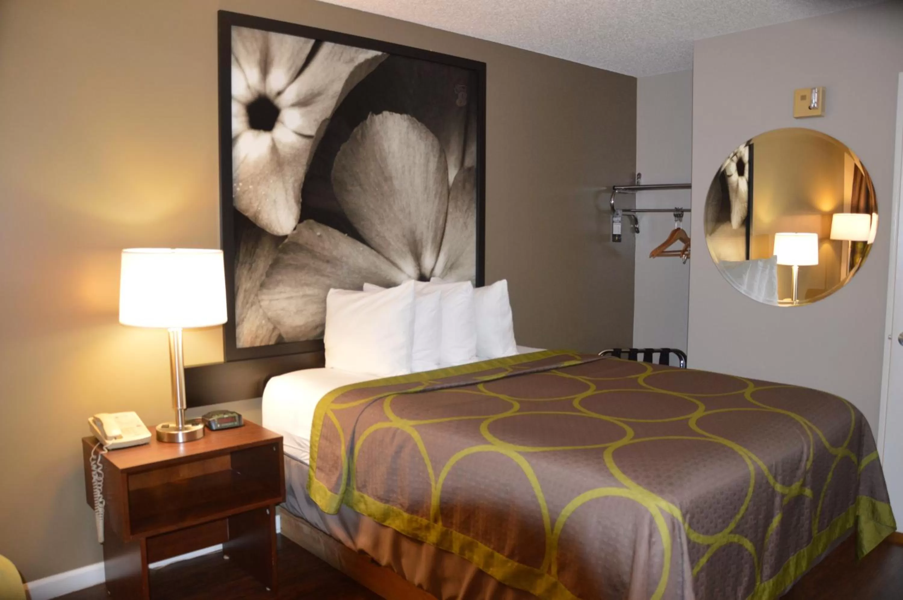 Photo of the whole room, Bed in Super 8 by Wyndham Madison