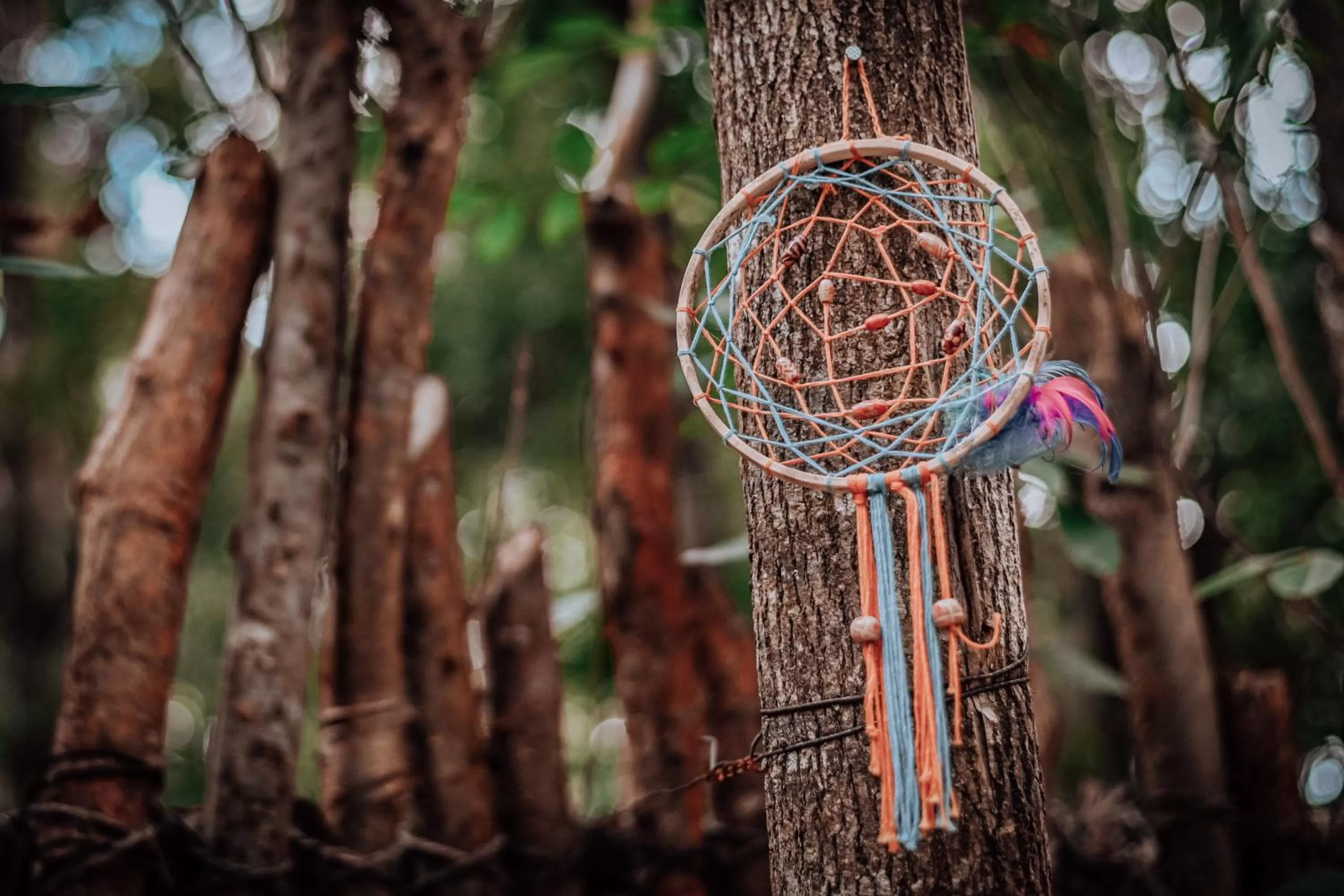 Garden, Other Animals in Lunita Jungle Experience