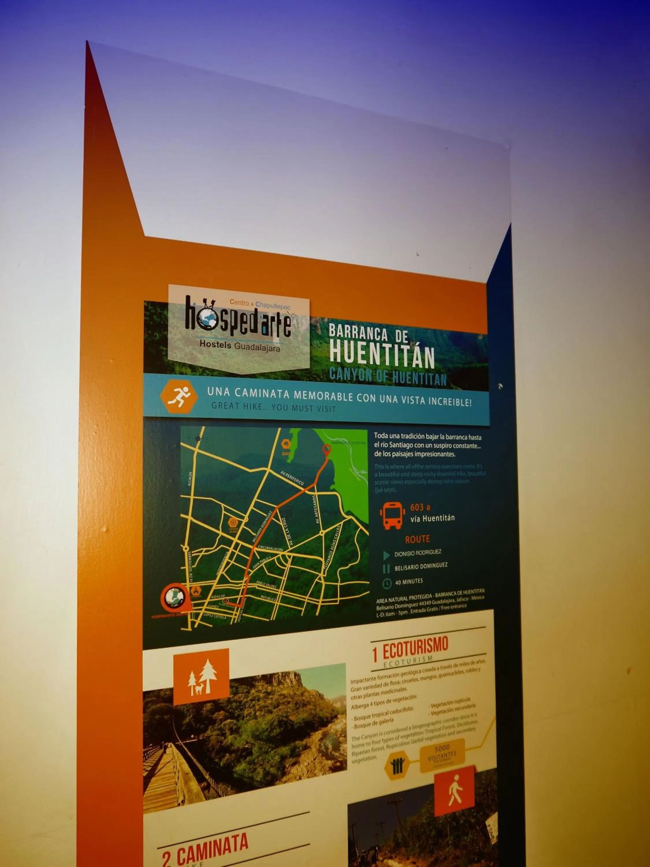 Activities in Hostel Hospedarte Chapultepec