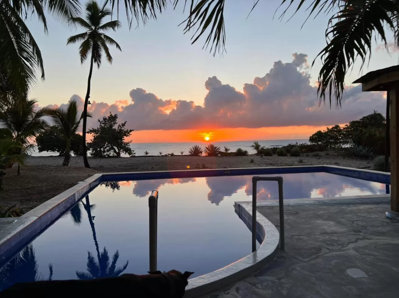 Property building in Hotel Al Mare