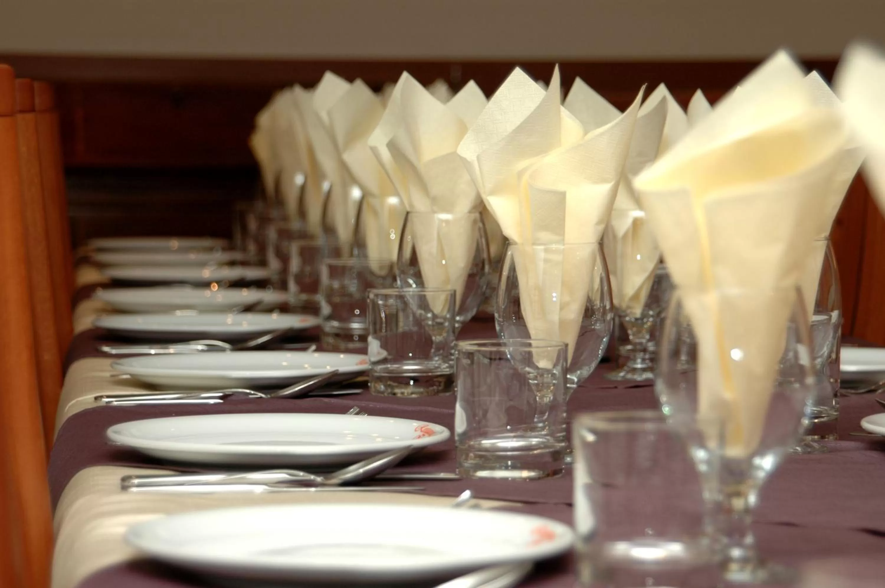 Banquet/Function facilities in Hotel Iris