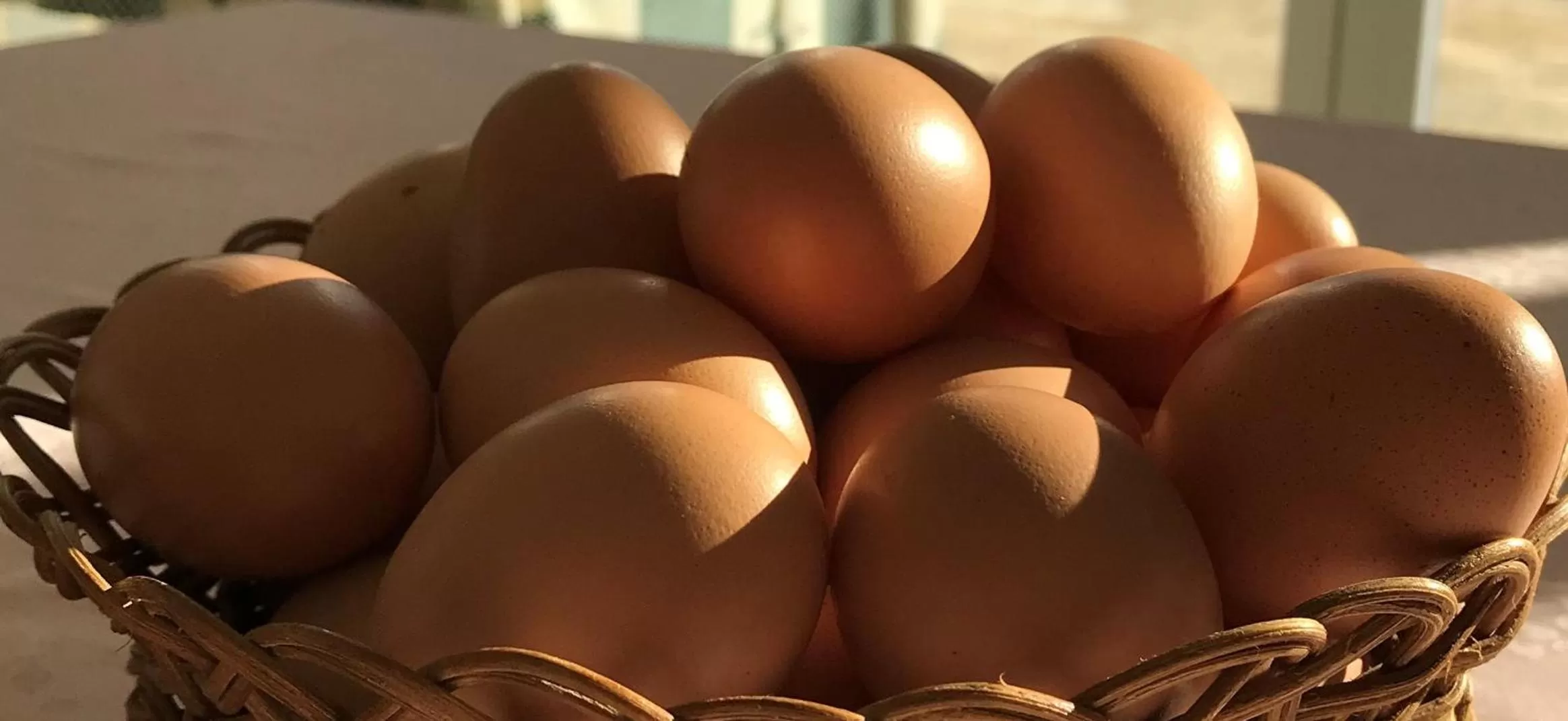 Breakfast in Relais Masseria della Colomba - Agriturismo