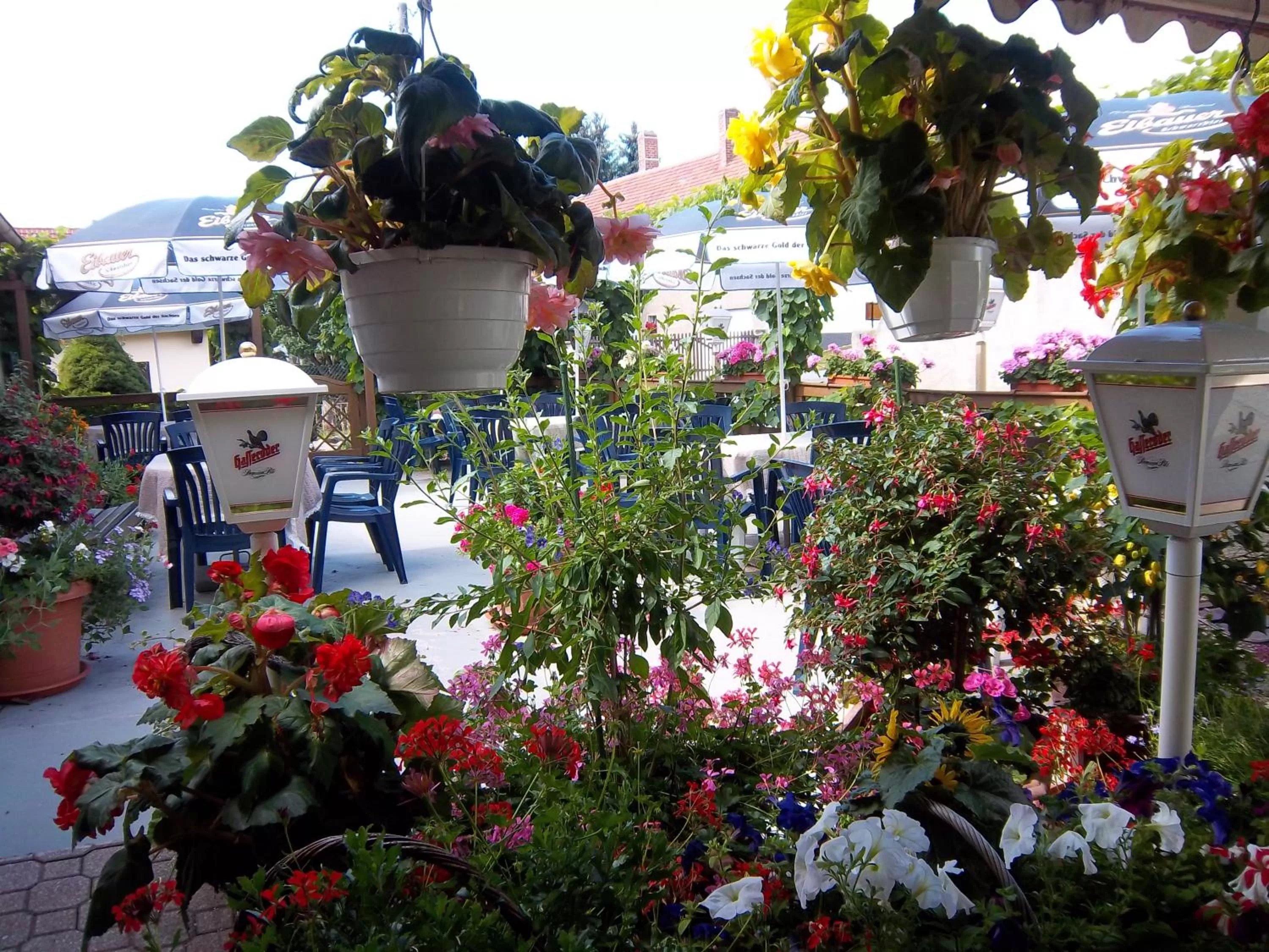 Property building in Hotel & Pension Aßmann