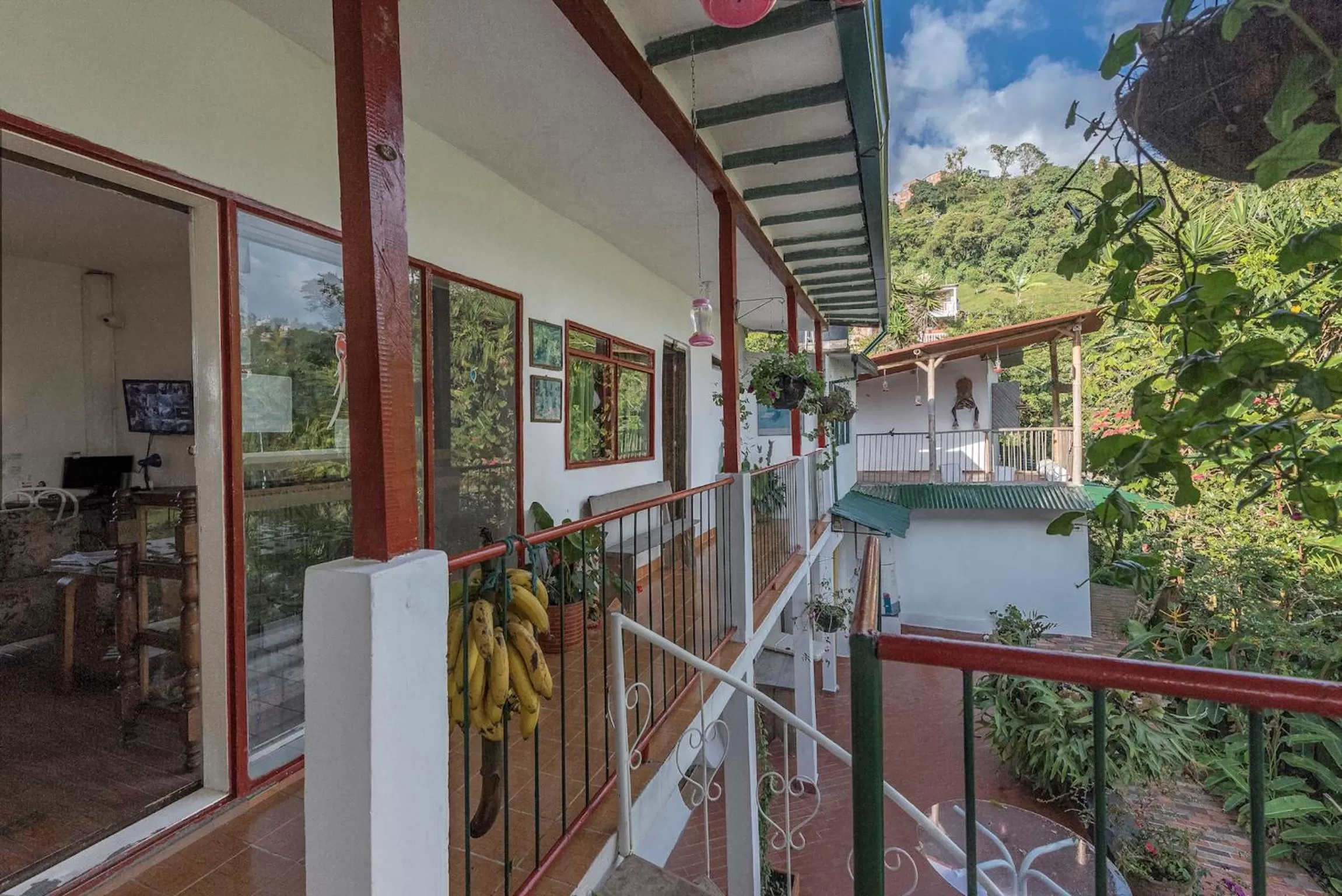 Patio in Eco Lodge La Juanita
