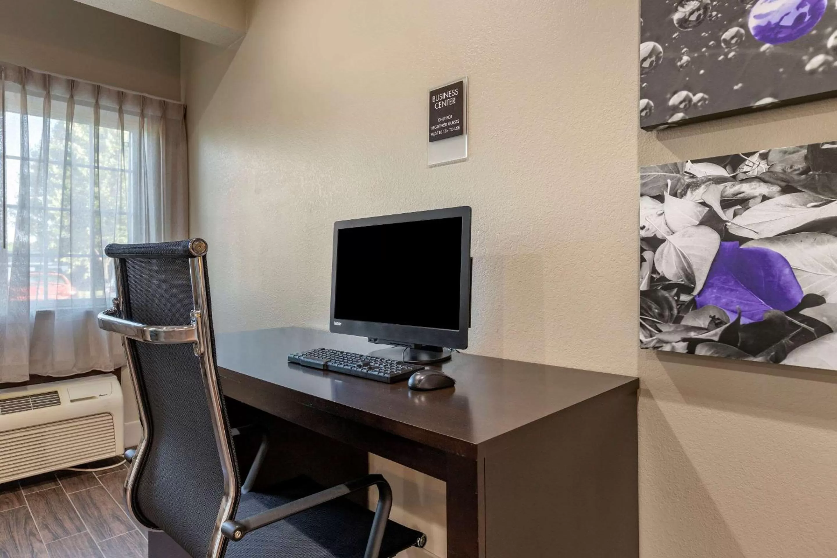 Business facilities in Sleep Inn & Suites