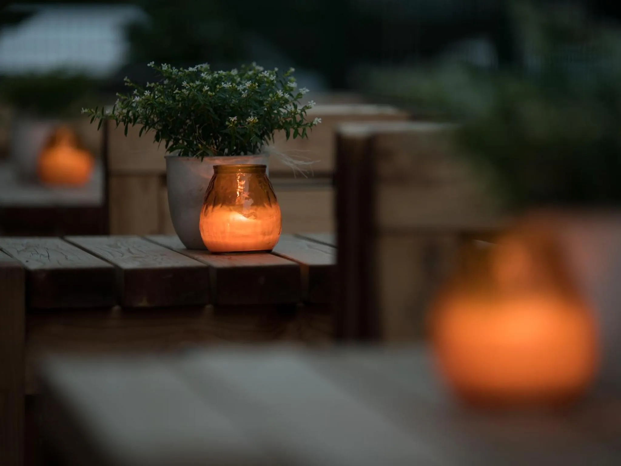 Garden in acom-Hotel Vienna