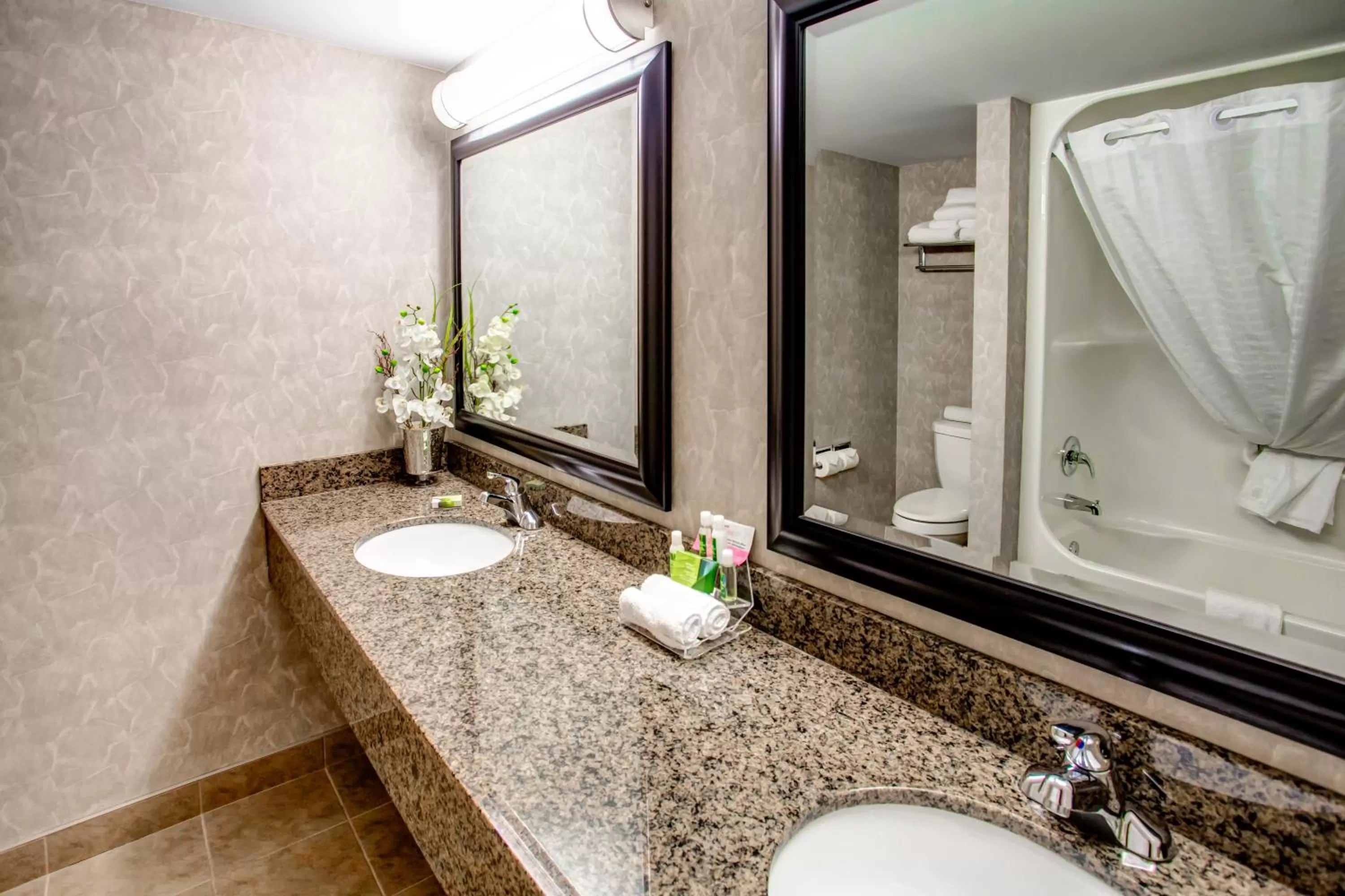 Shower in Royal Hotel West Edmonton, Trademark Collection by Wyndham