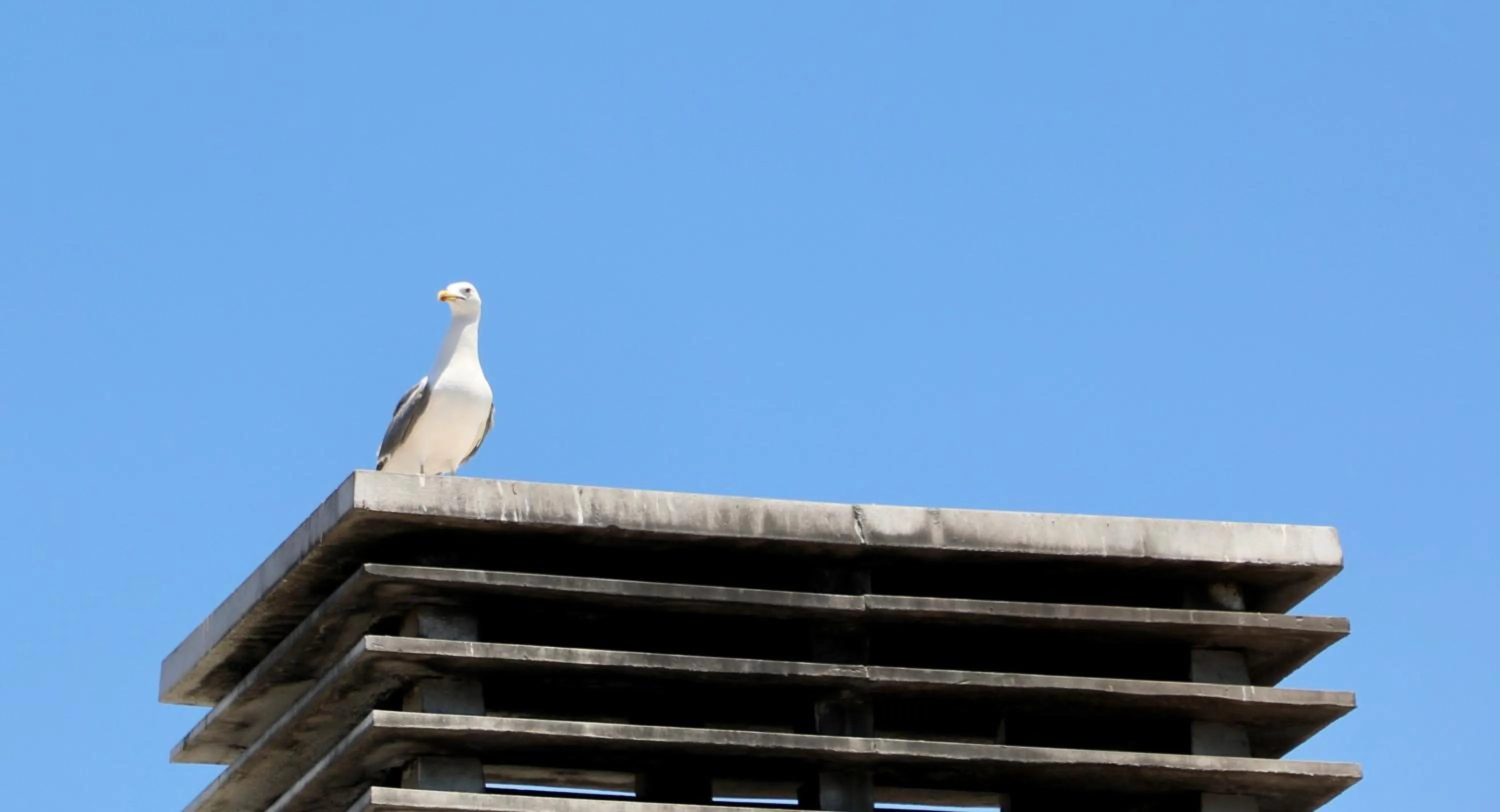 Day in Istanbul Royal Hotel