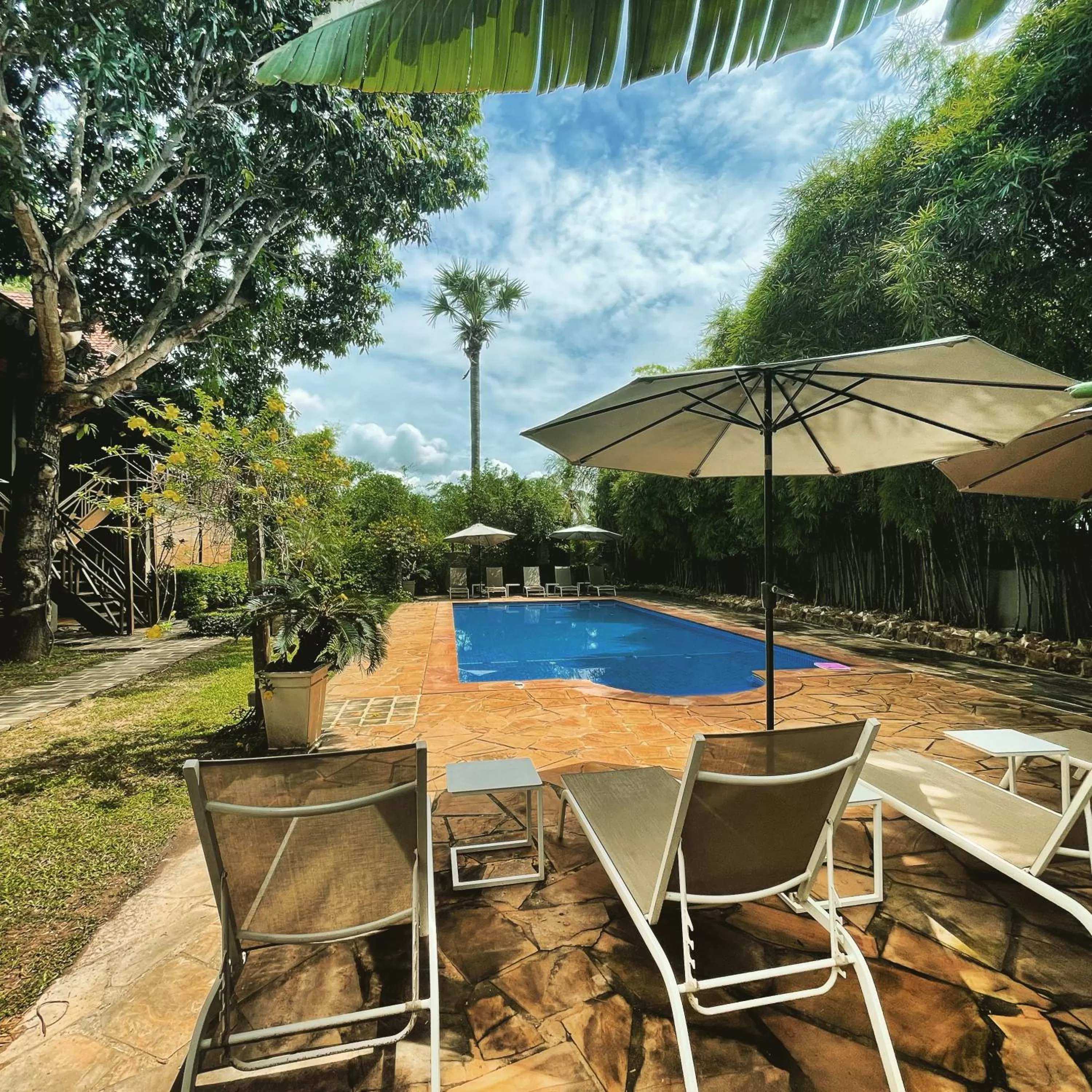 Swimming pool in La Palmeraie D'angkor
