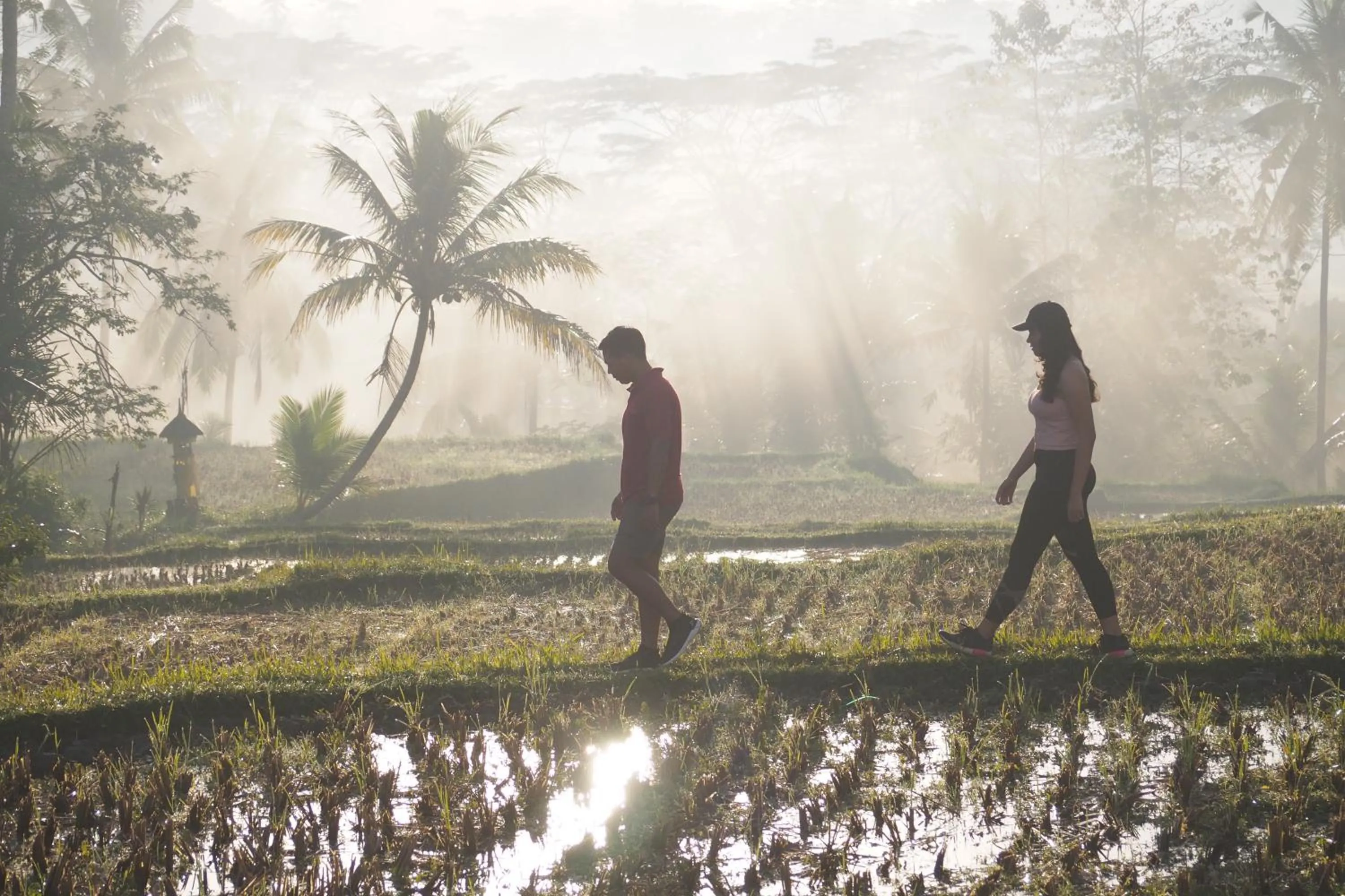 Activities in Kawi Resort