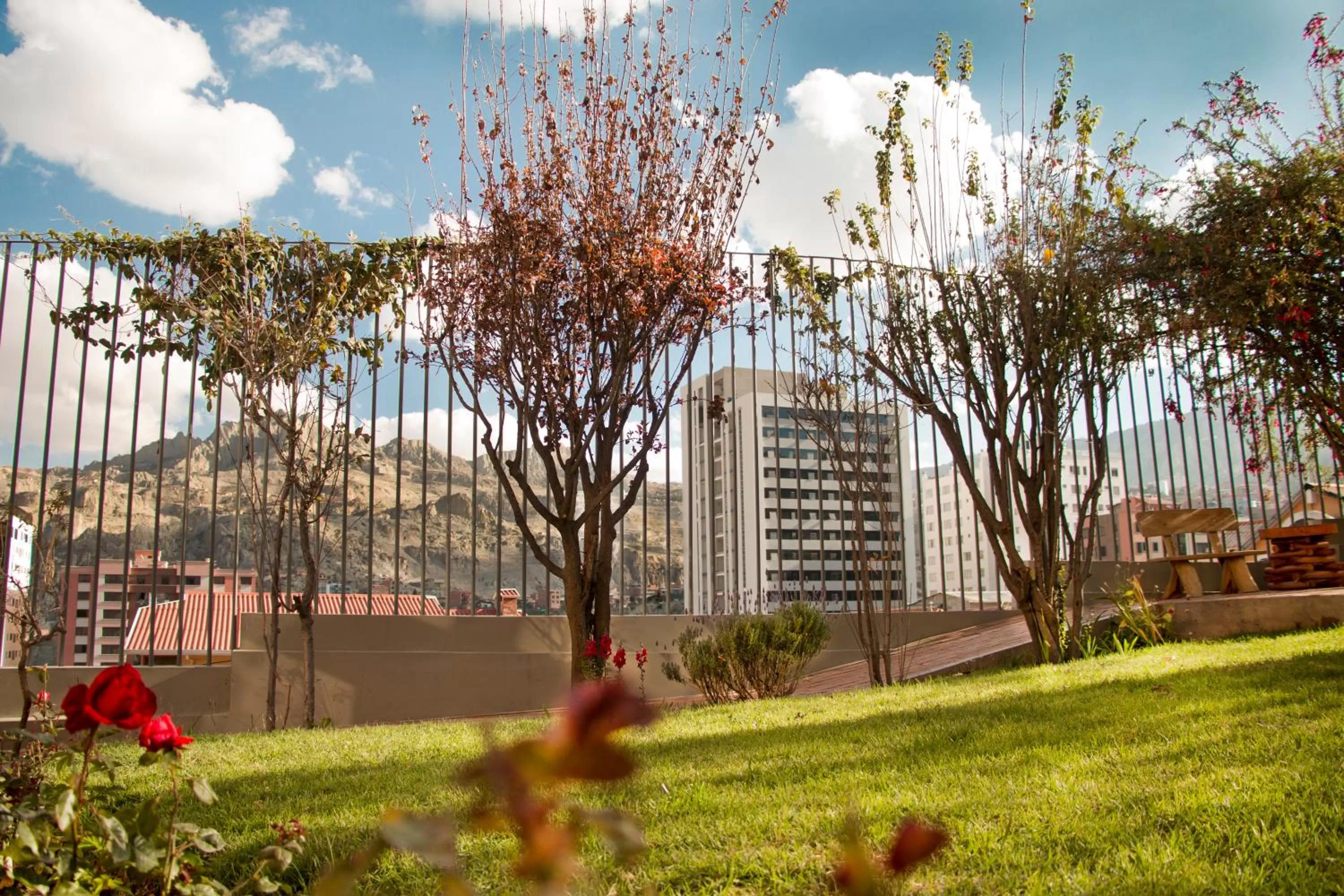 Garden in Qhini Hotel Boutique