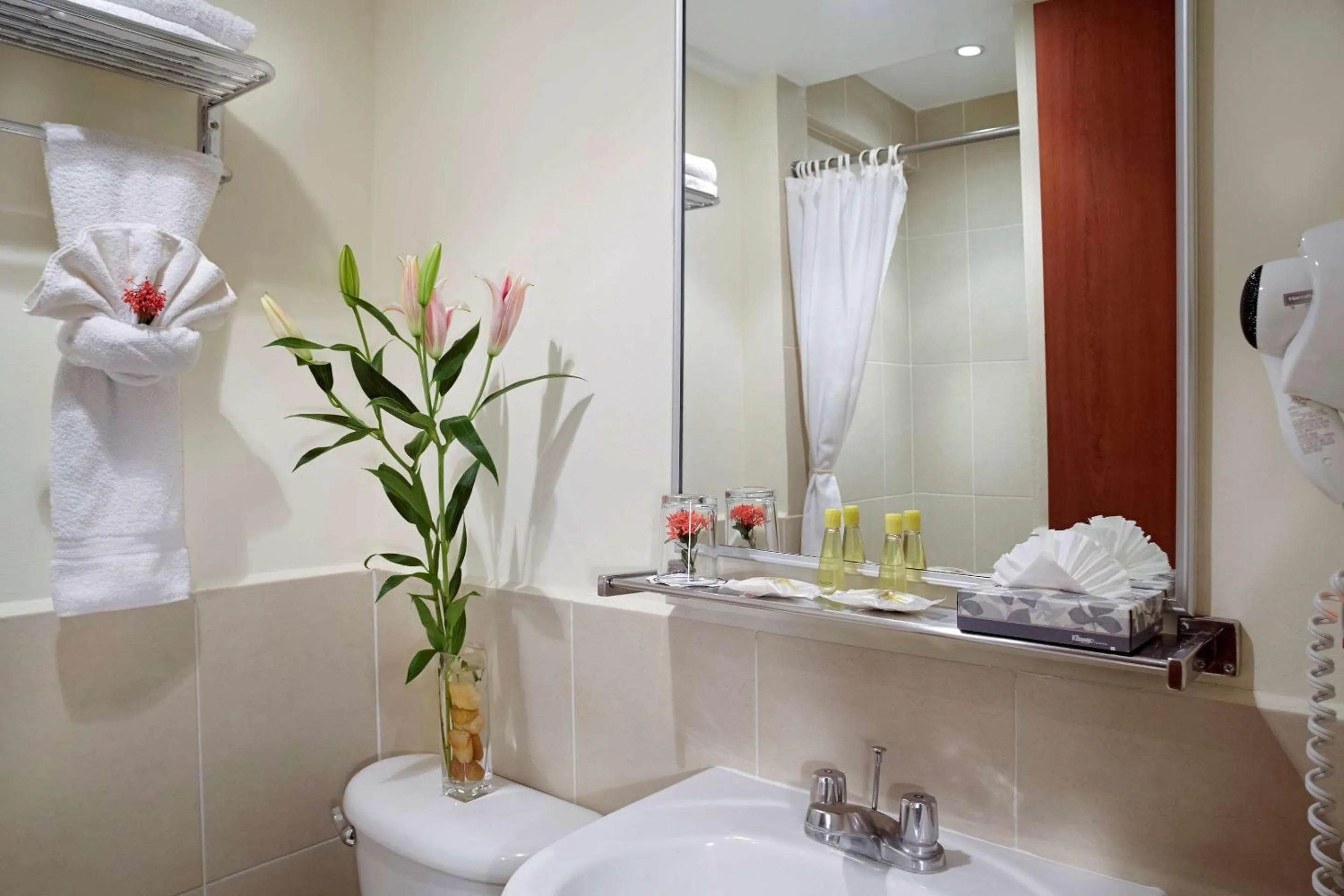 Shower in Comfort Inn Real San Miguel