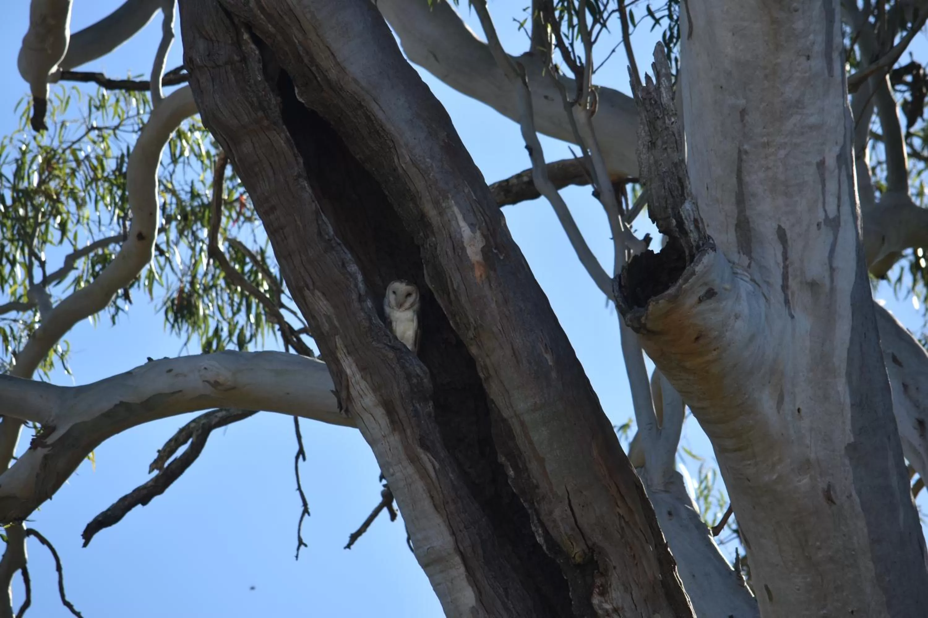Natural landscape in Mapleton Springs
