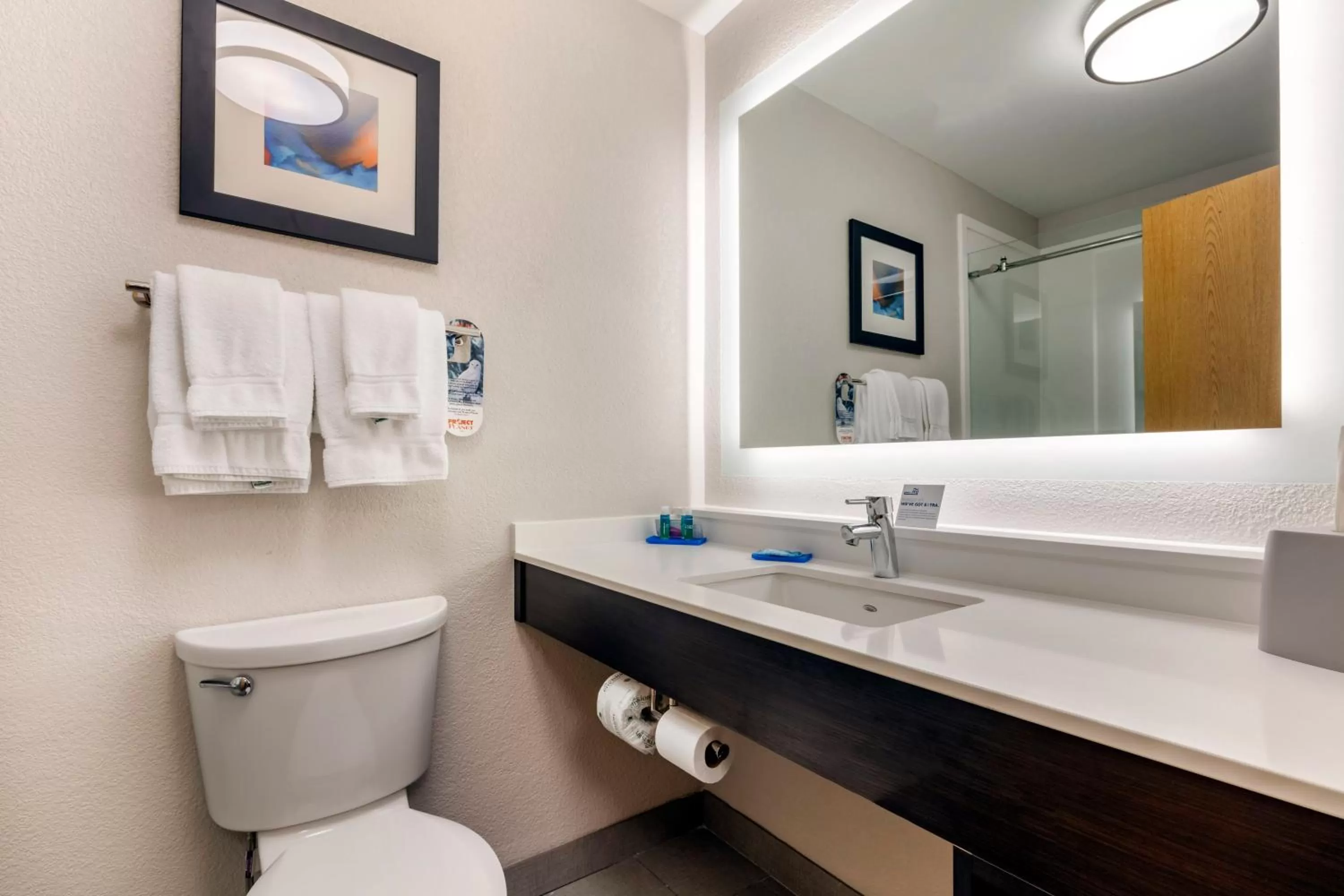 Bathroom in Holiday Inn Express Metropolis by IHG