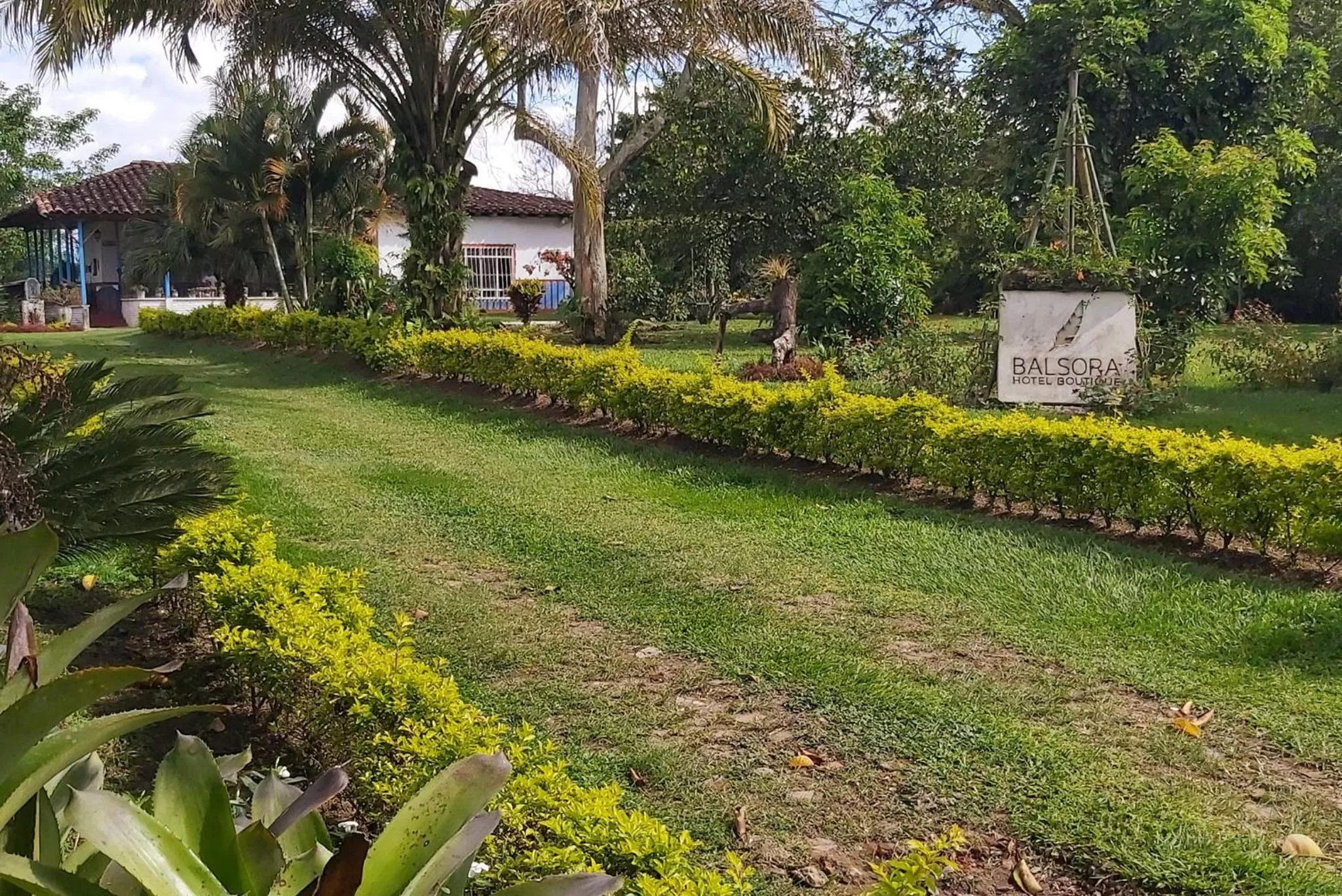Garden in Balsora Hotel Boutique